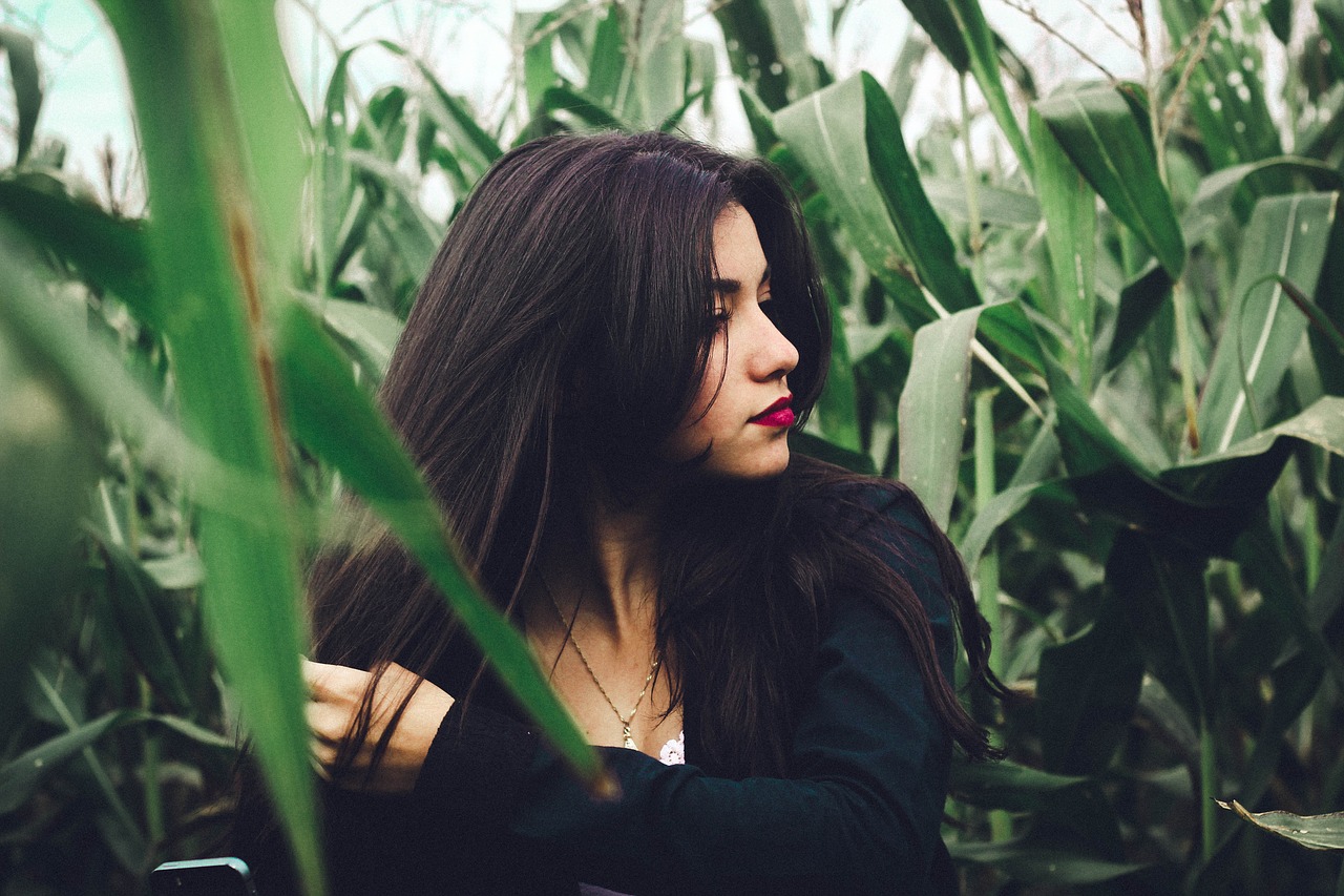 beautiful corn field model free photo