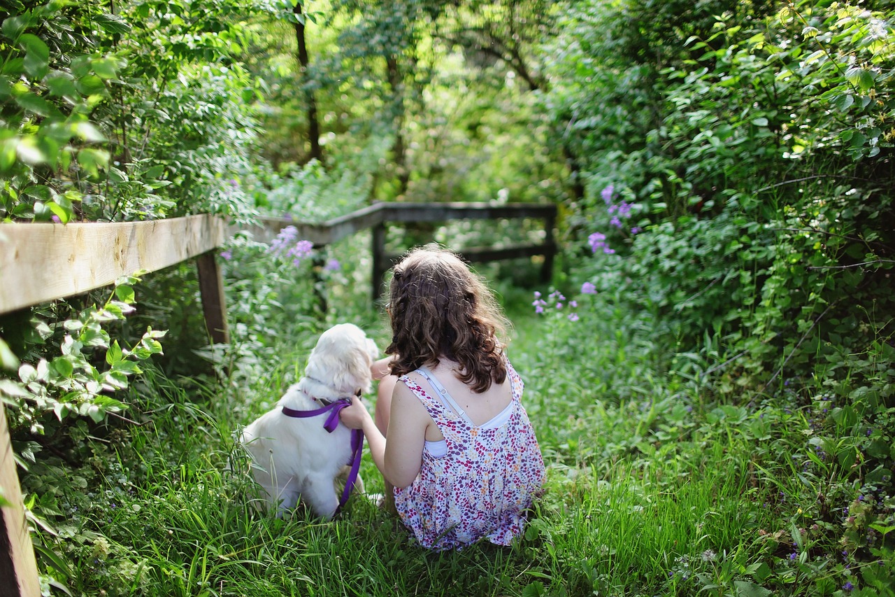 beautiful blue flowers child free photo