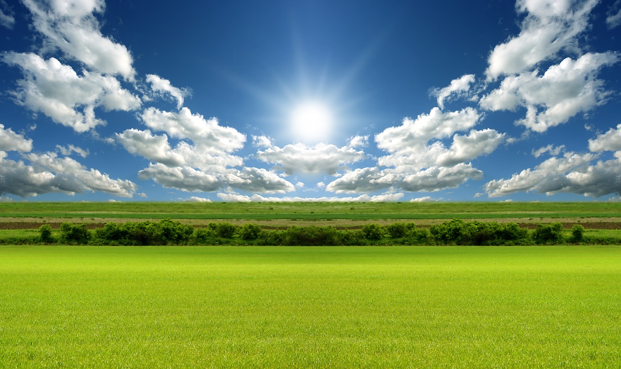 beautiful prairie sunshine free photo