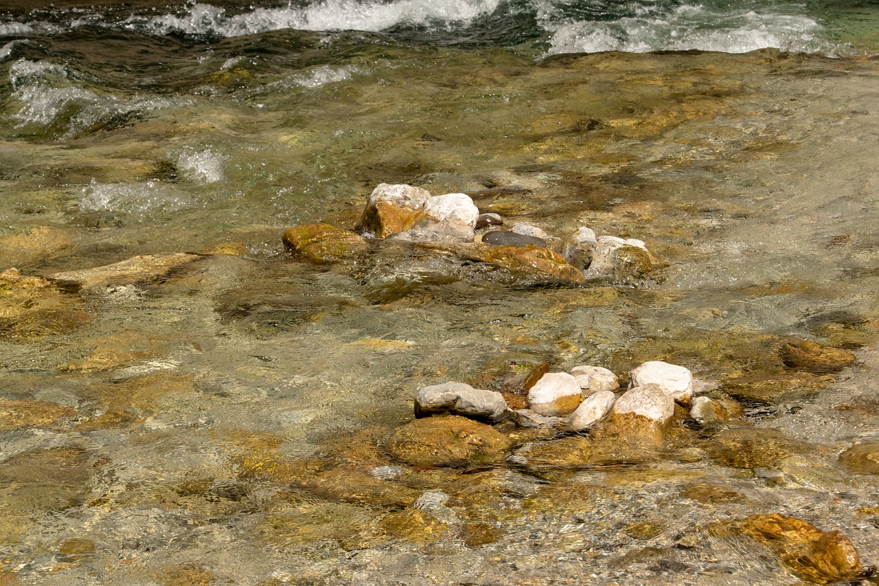 beautiful  natural  river free photo