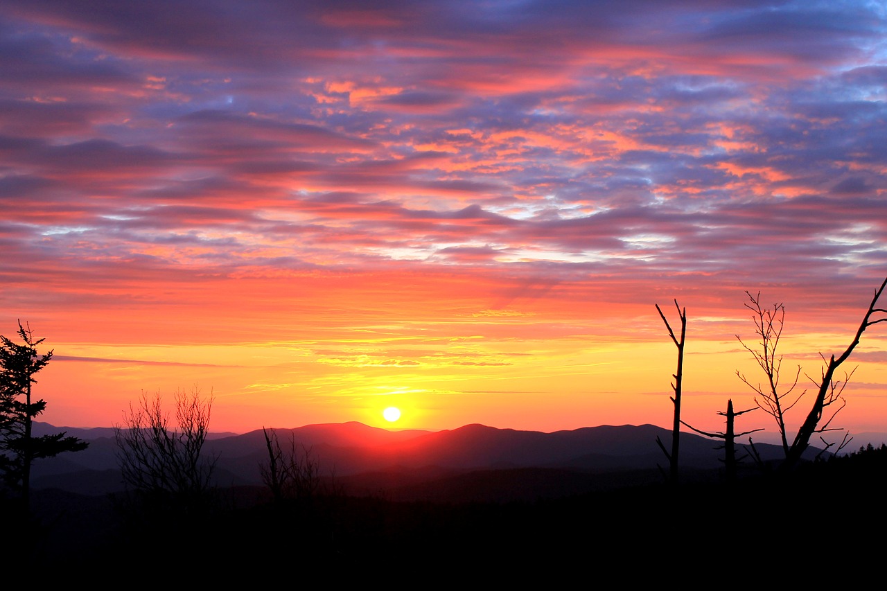 beautiful  great  great smoky mountains free photo