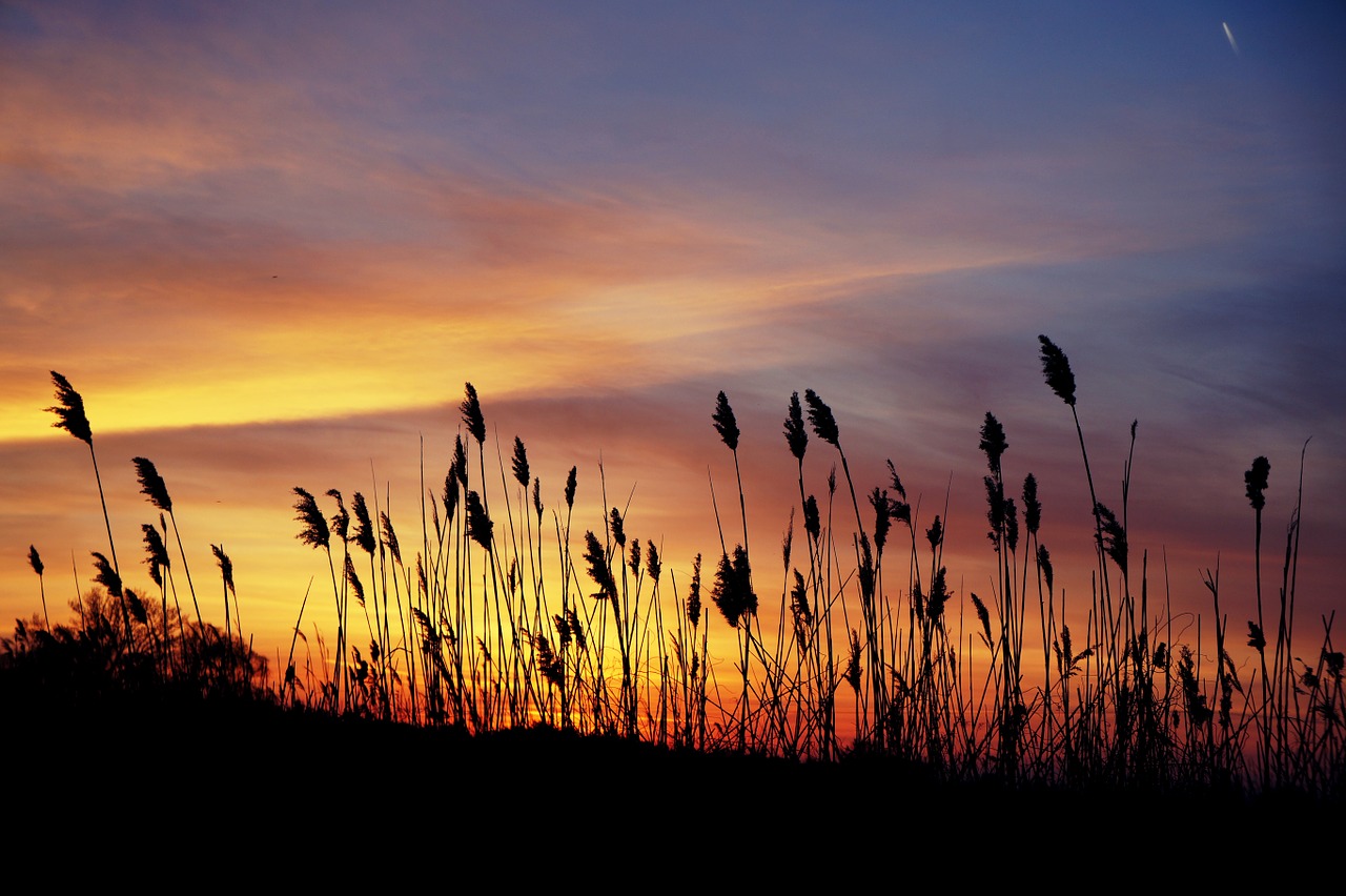 beautiful sunset colors free photo