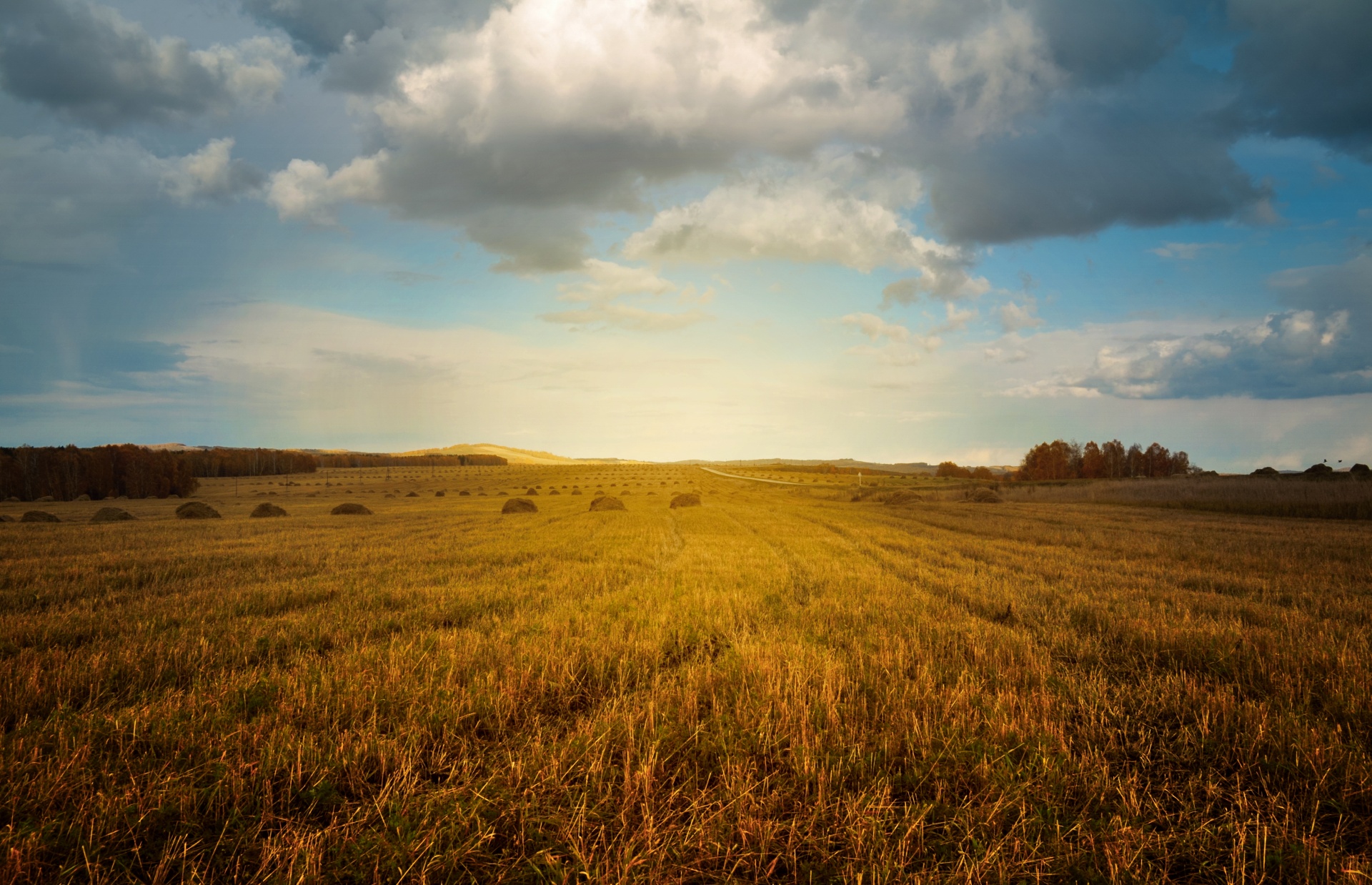 landscape nature field free photo