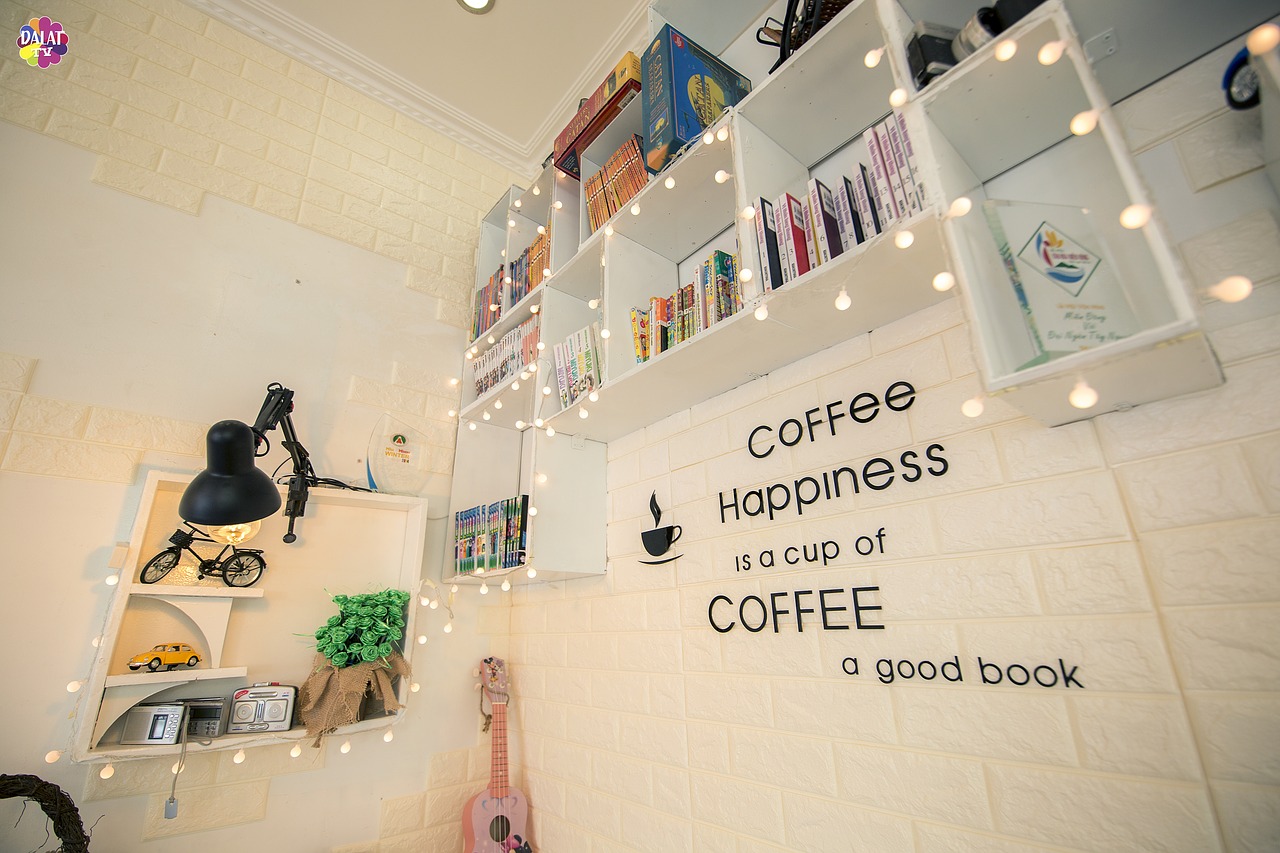 beautiful cafe bookshelf chair free photo