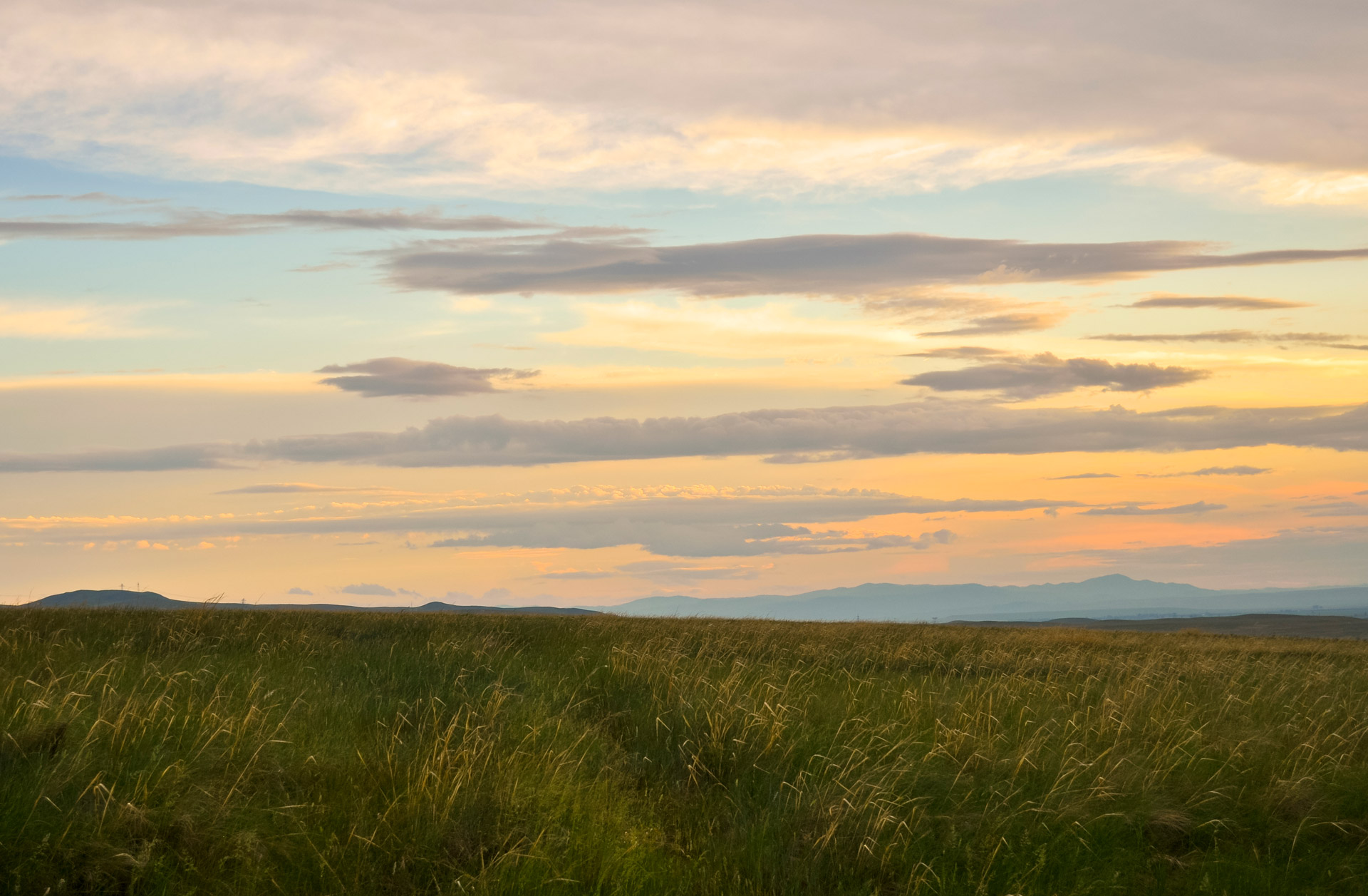 grass fields sky free photo