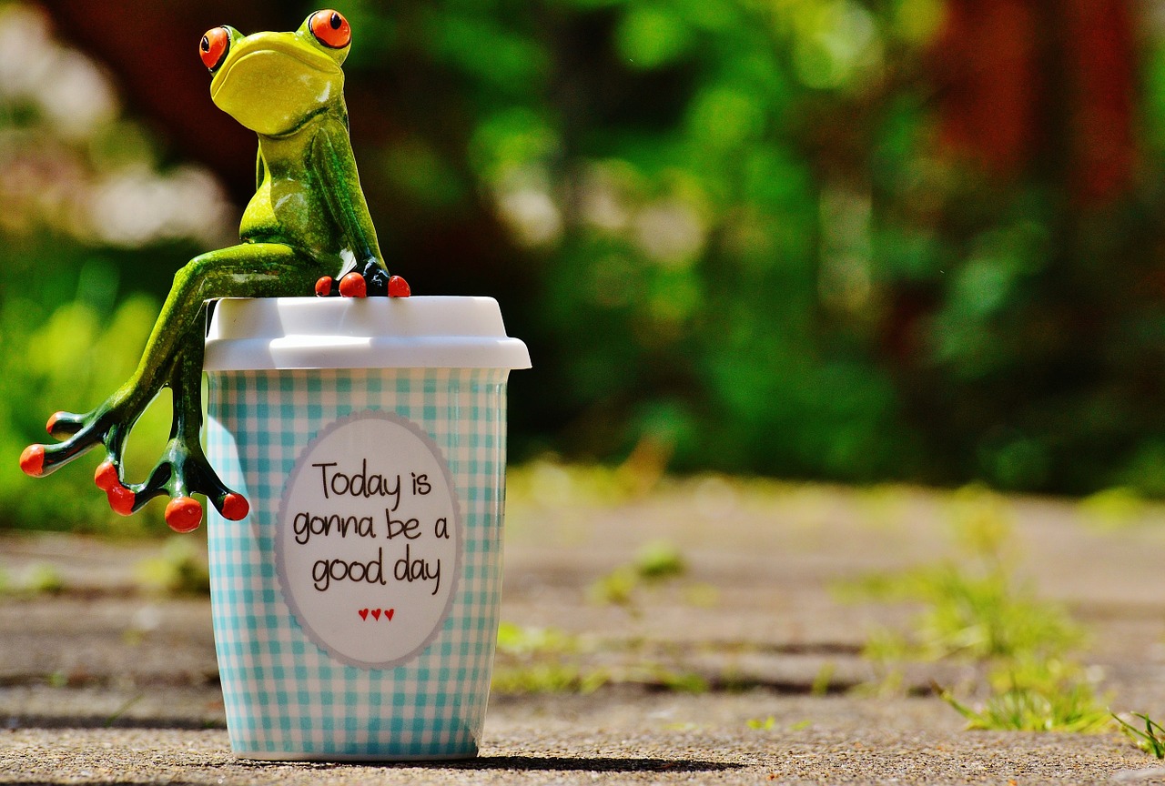 beautiful day joy frog free photo