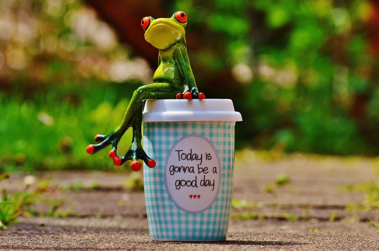 beautiful day joy frog free photo