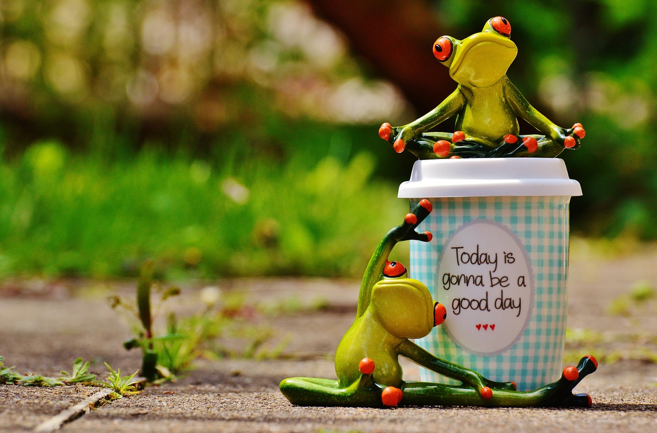 beautiful day joy frog free photo