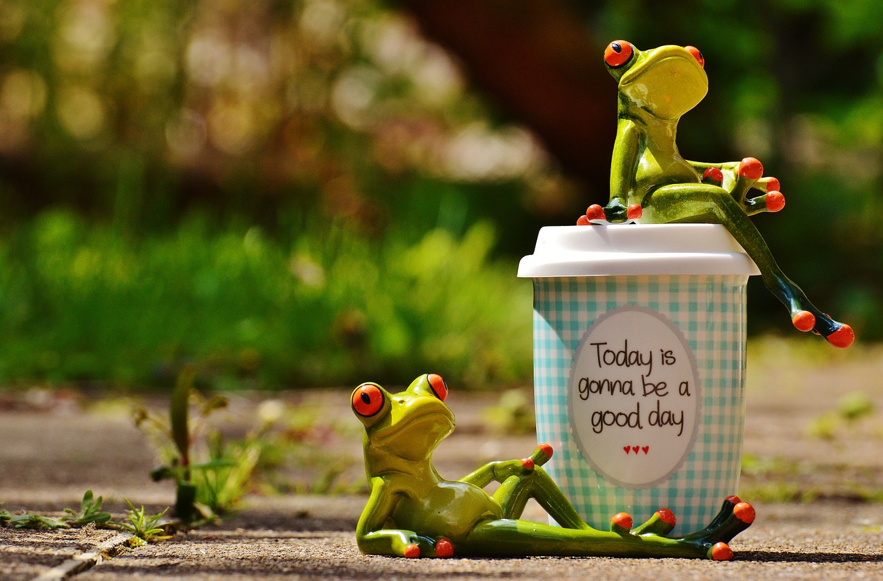 beautiful day joy frog free photo