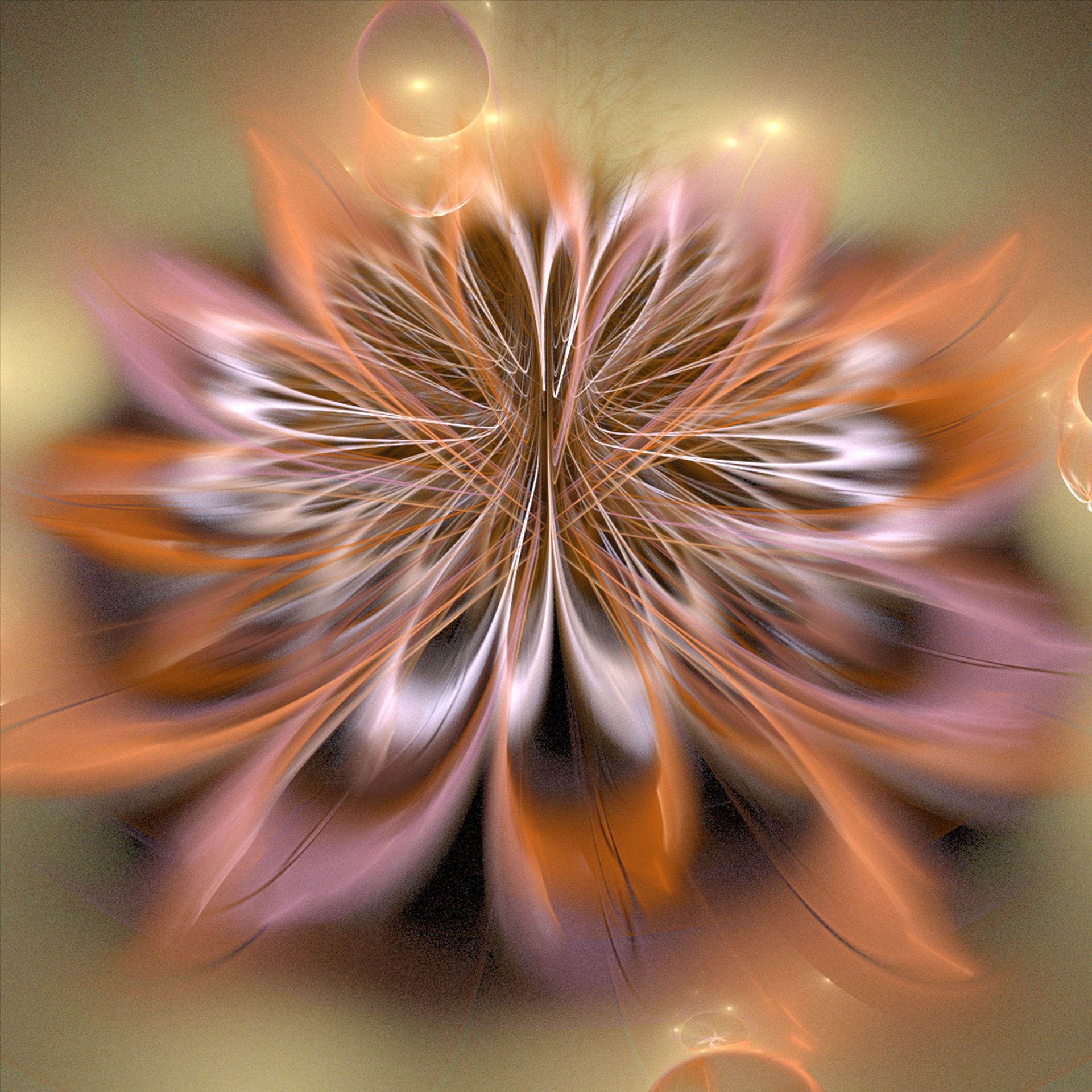 flower 3d fractal free photo