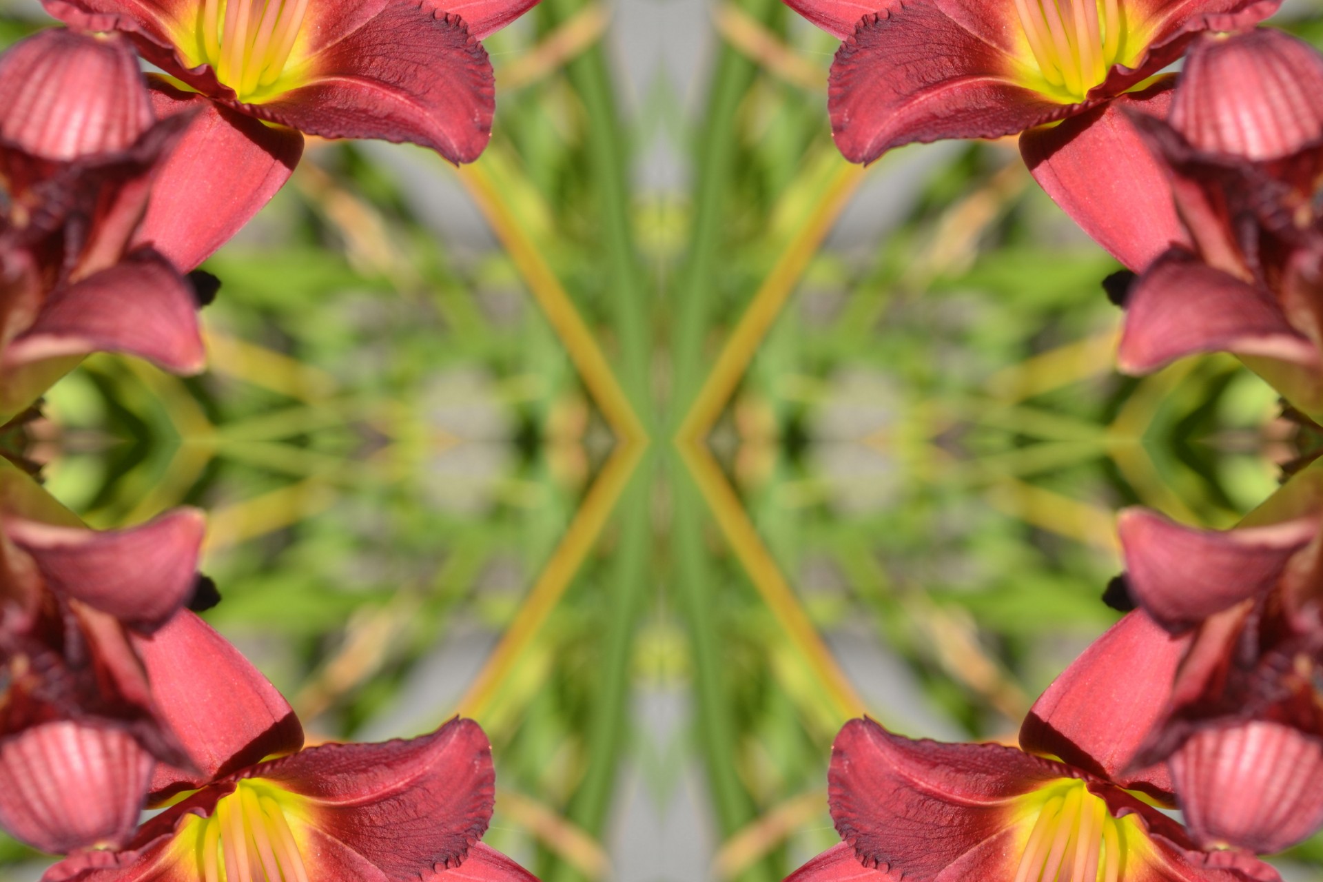 beautiful flowers kaleidoscope free photo