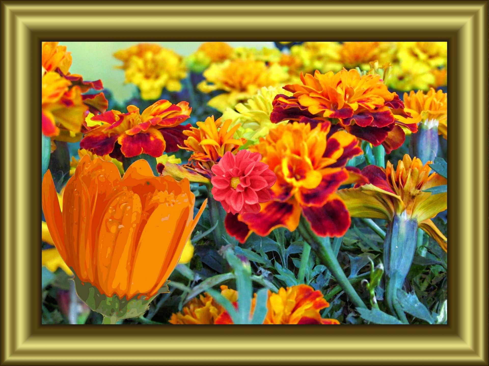 beautiful flowers gold free photo