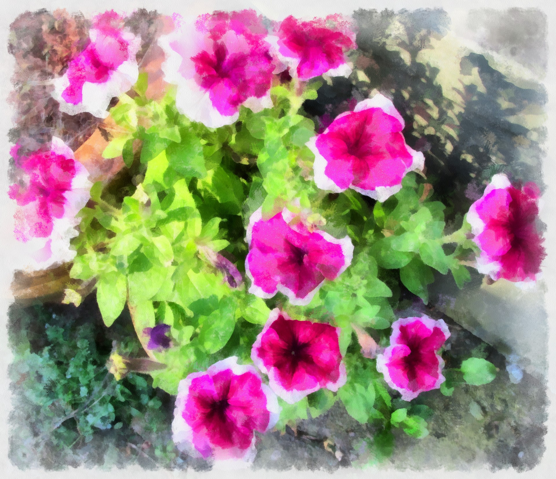 beautiful flowers aquarelle free photo