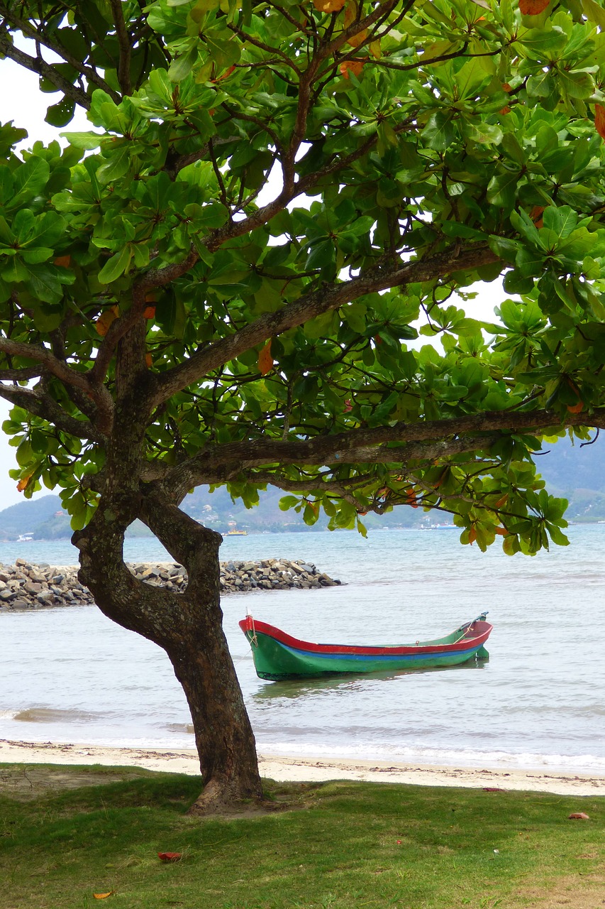 beautiful island boat mar free photo