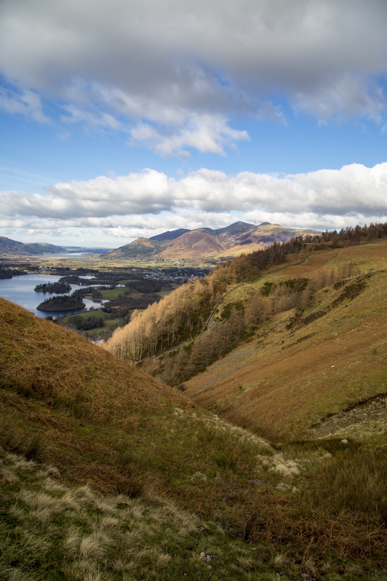 adventure britain brown knott free photo