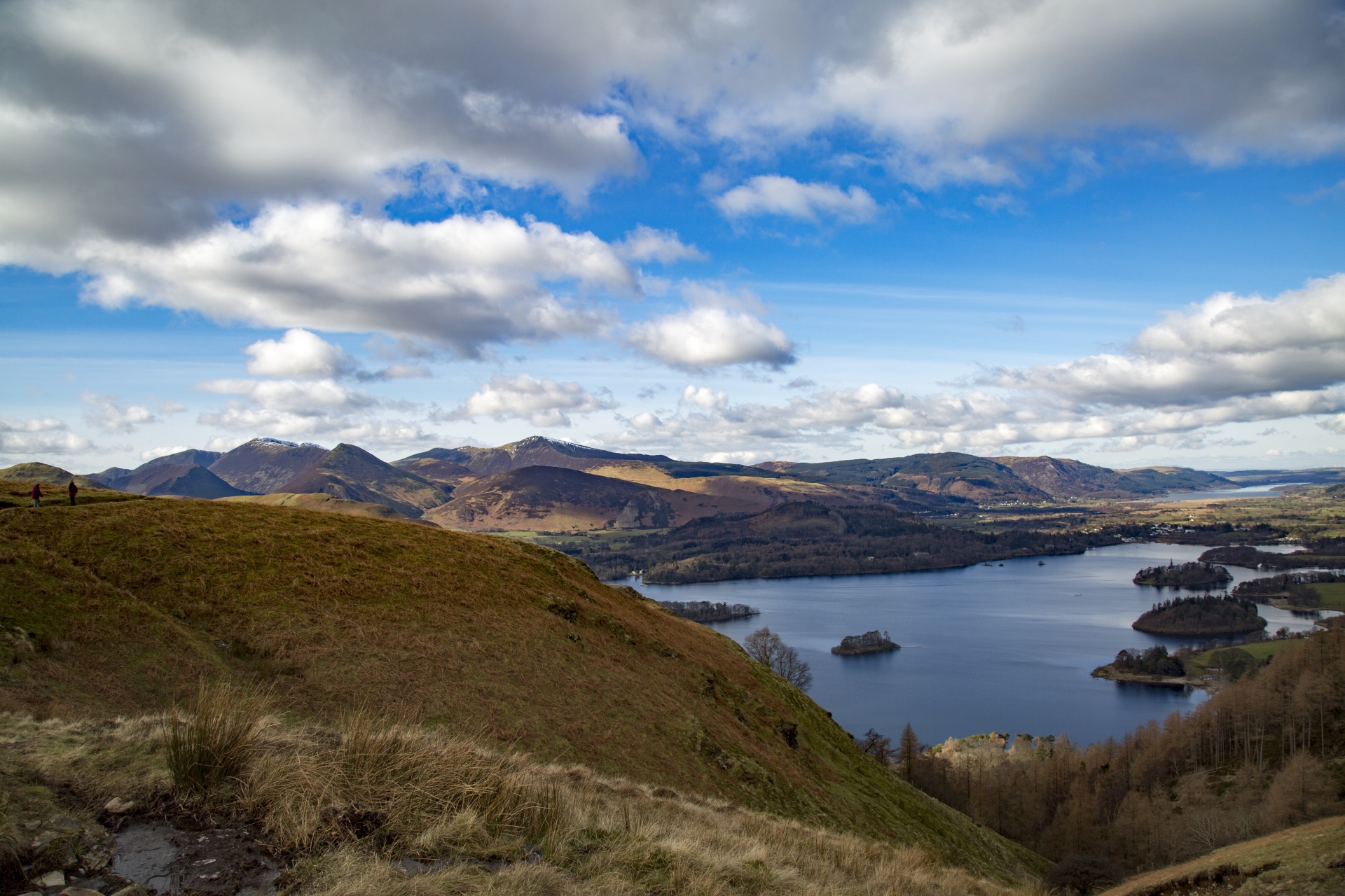 adventure britain brown knott free photo