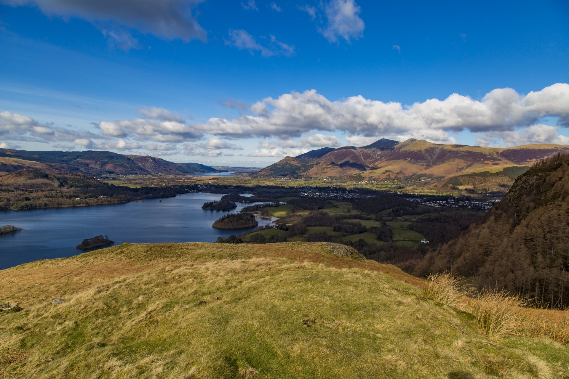 adventure britain brown knott free photo