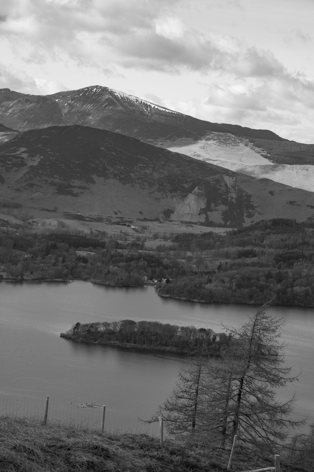 adventure britain brown knott free photo