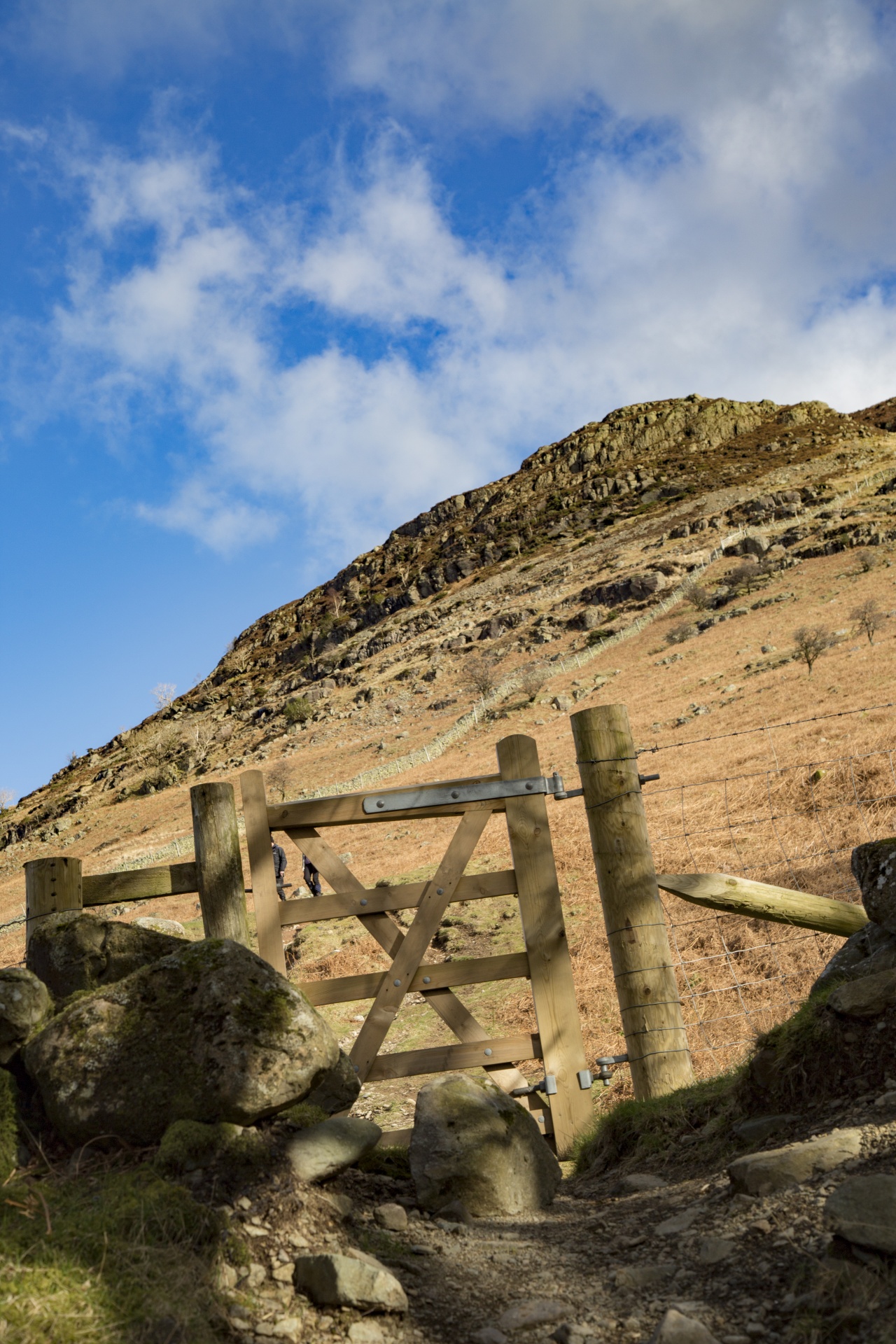 adventure britain brown knott free photo