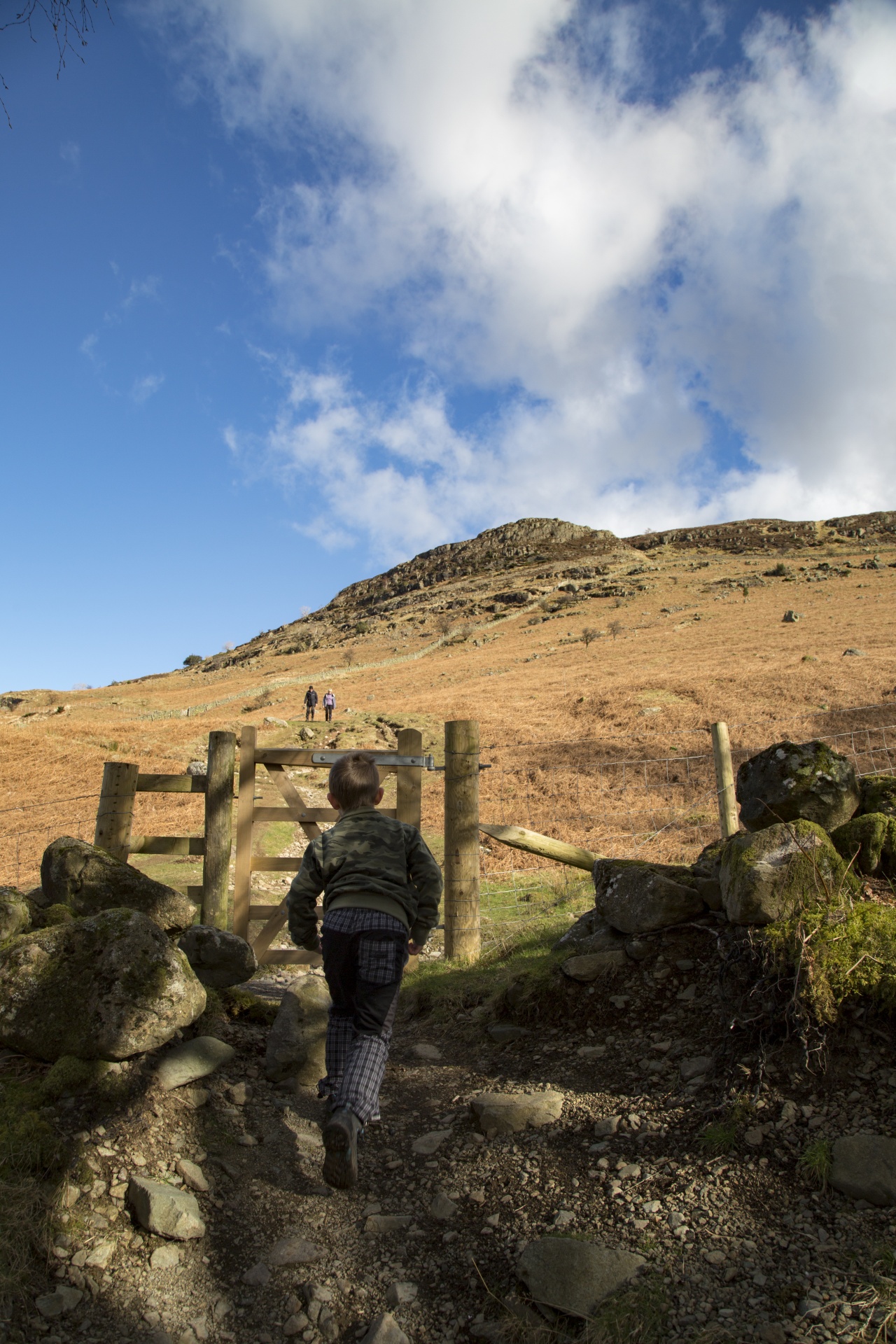 adventure britain brown knott free photo