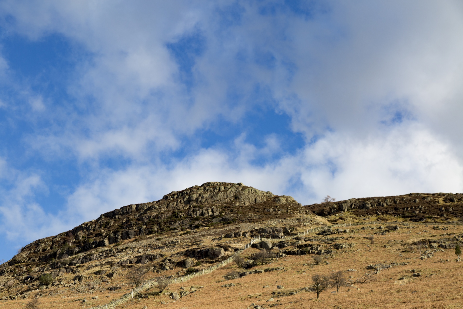 adventure britain brown knott free photo