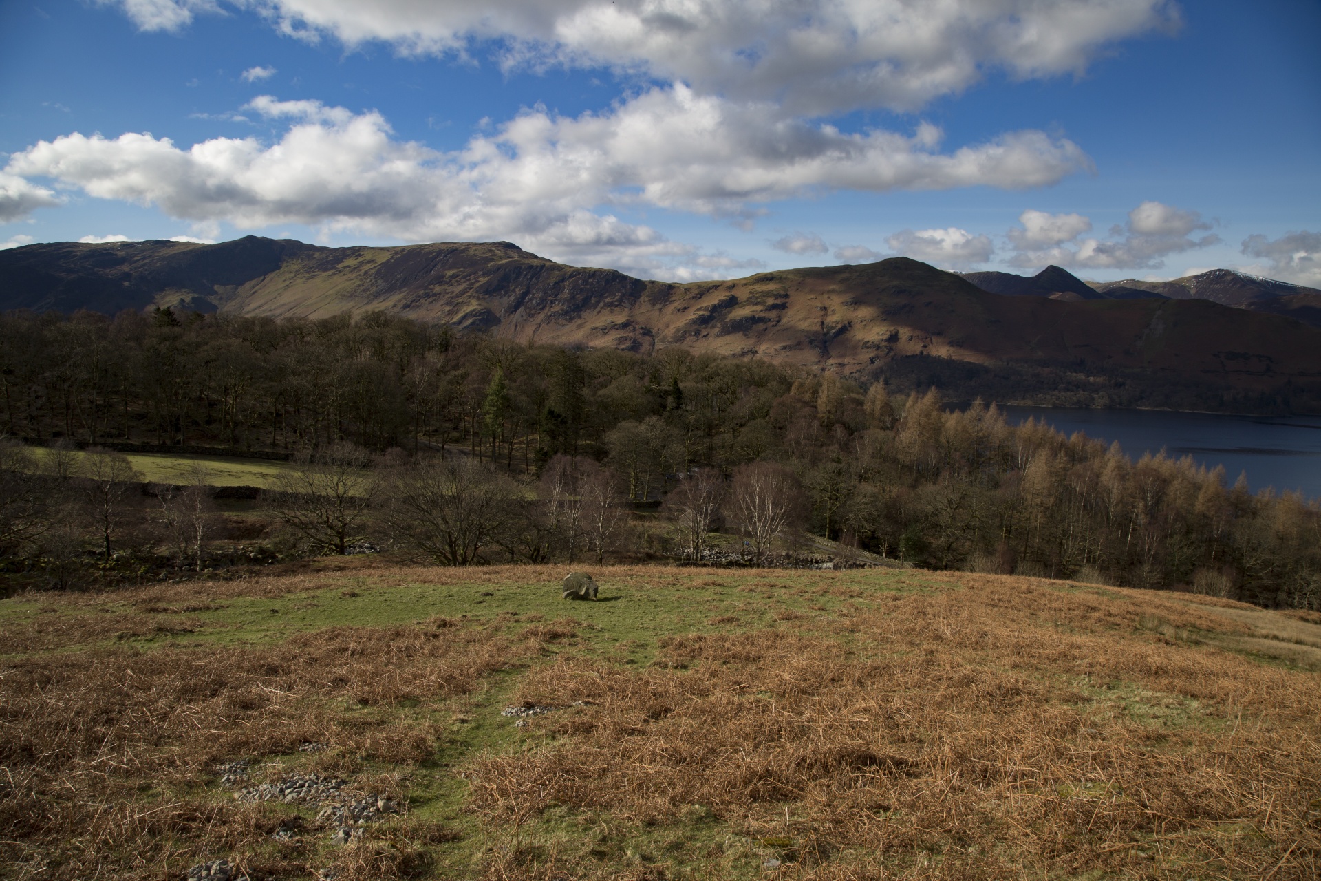 adventure britain brown knott free photo