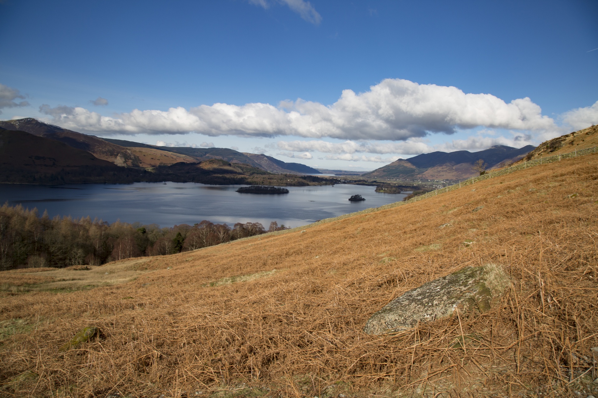 adventure britain brown knott free photo