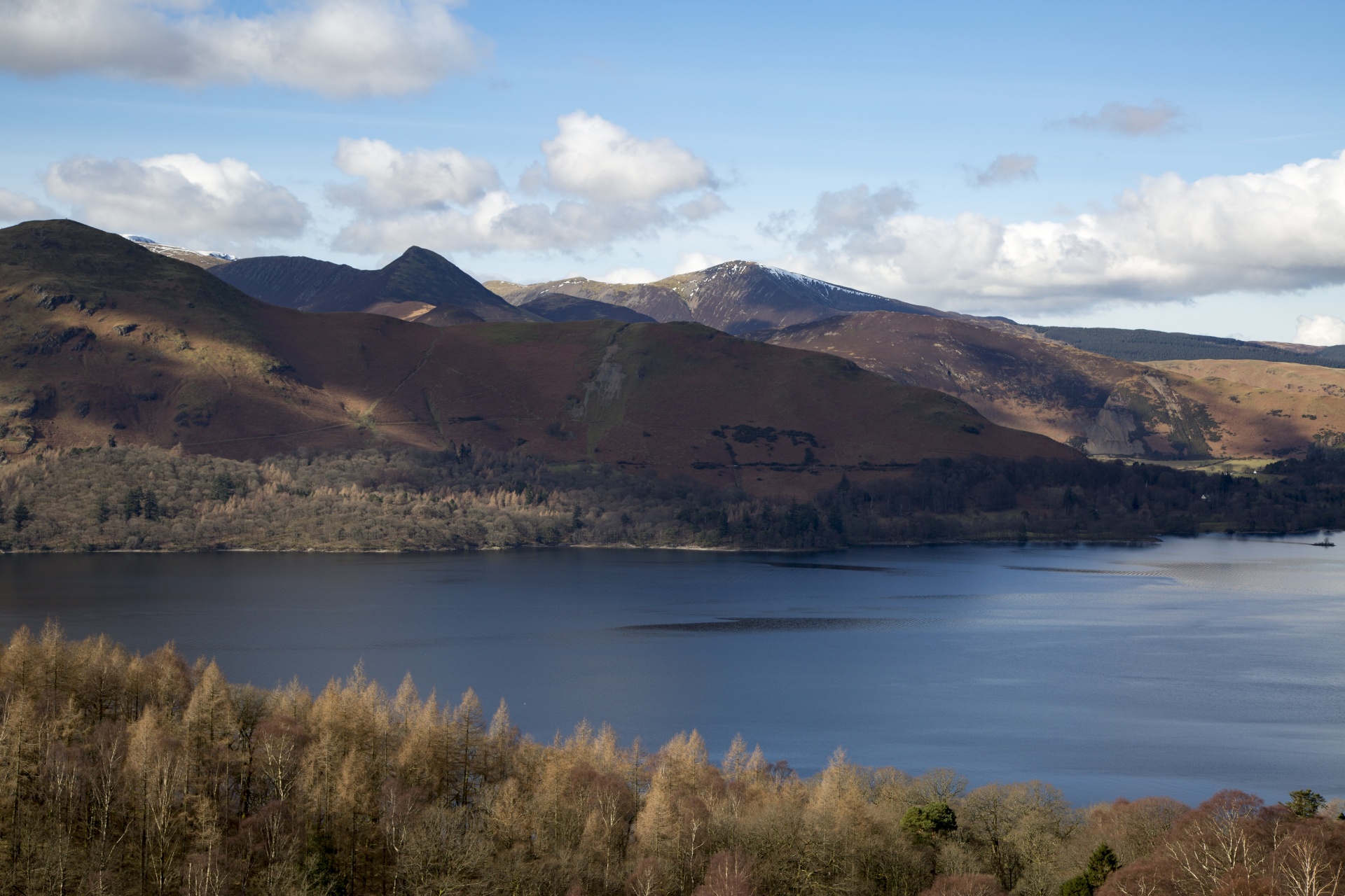 adventure britain brown knott free photo