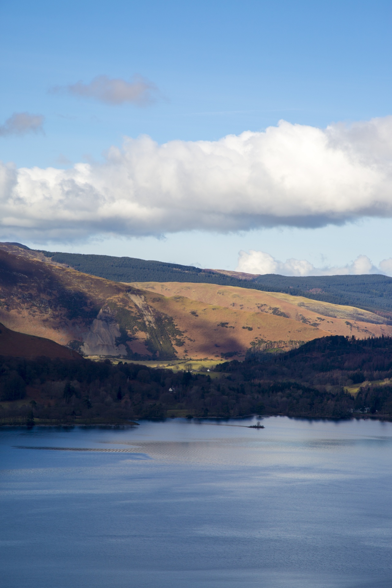 adventure britain brown knott free photo