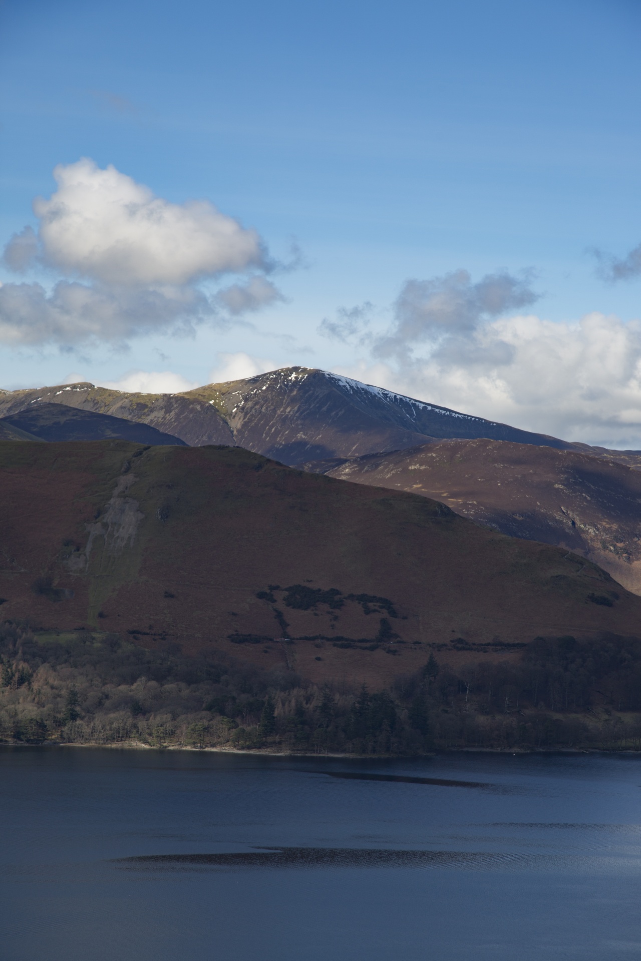 adventure britain brown knott free photo