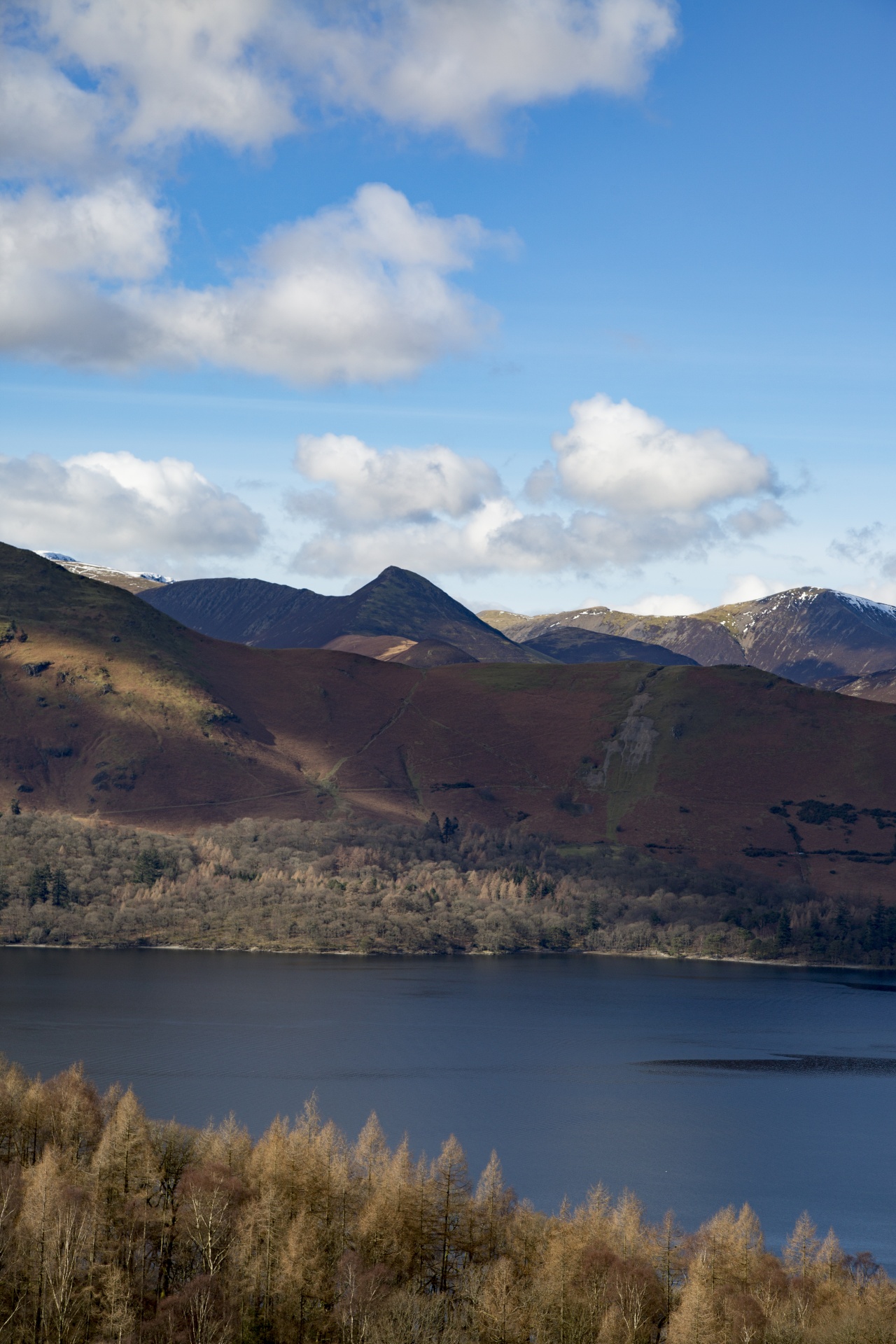 adventure britain brown knott free photo