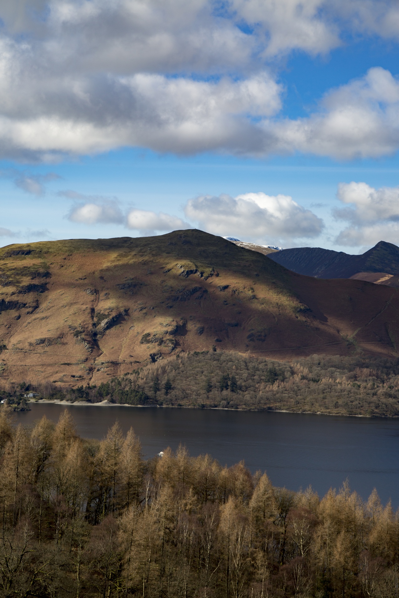 adventure britain brown knott free photo