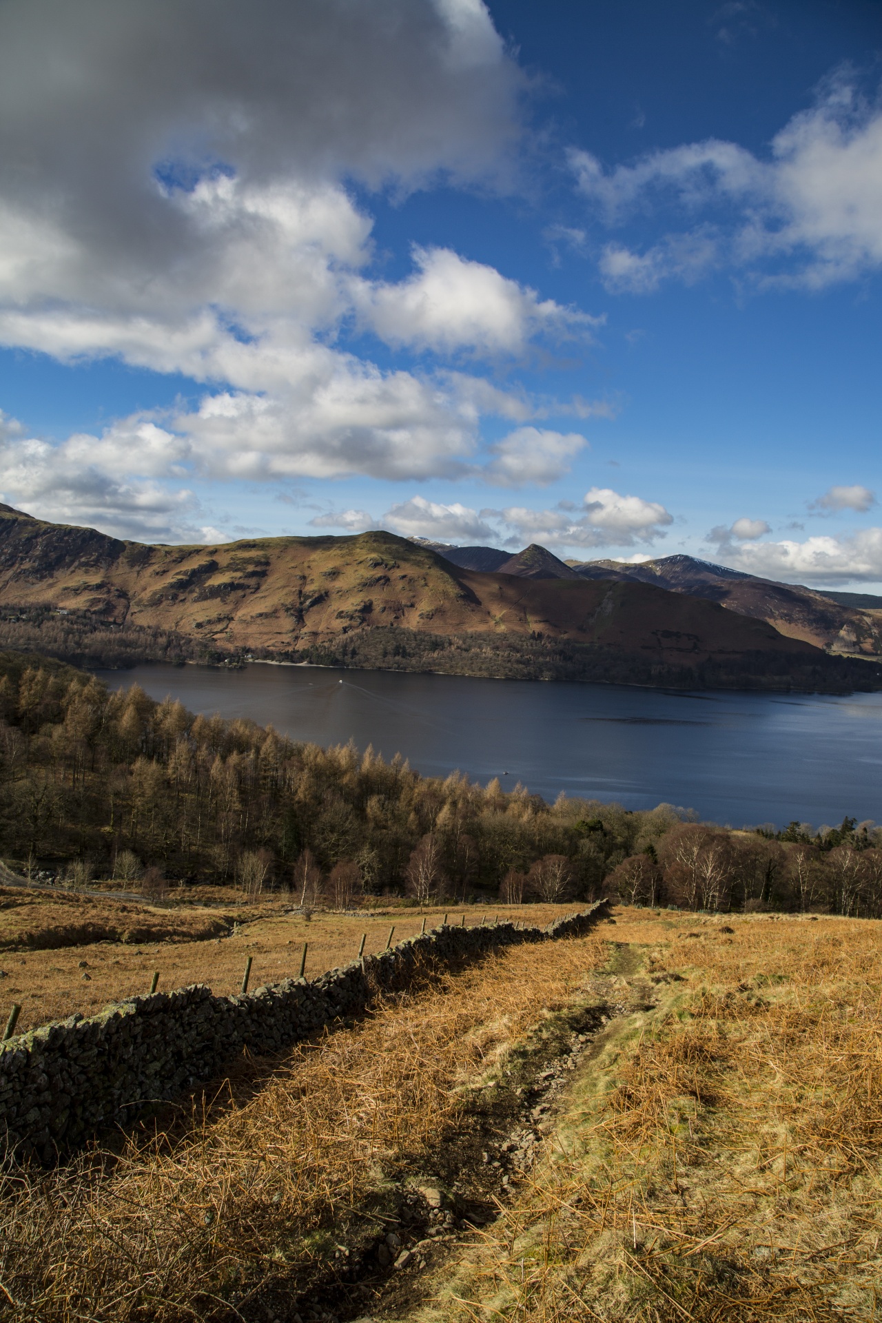 adventure britain brown knott free photo