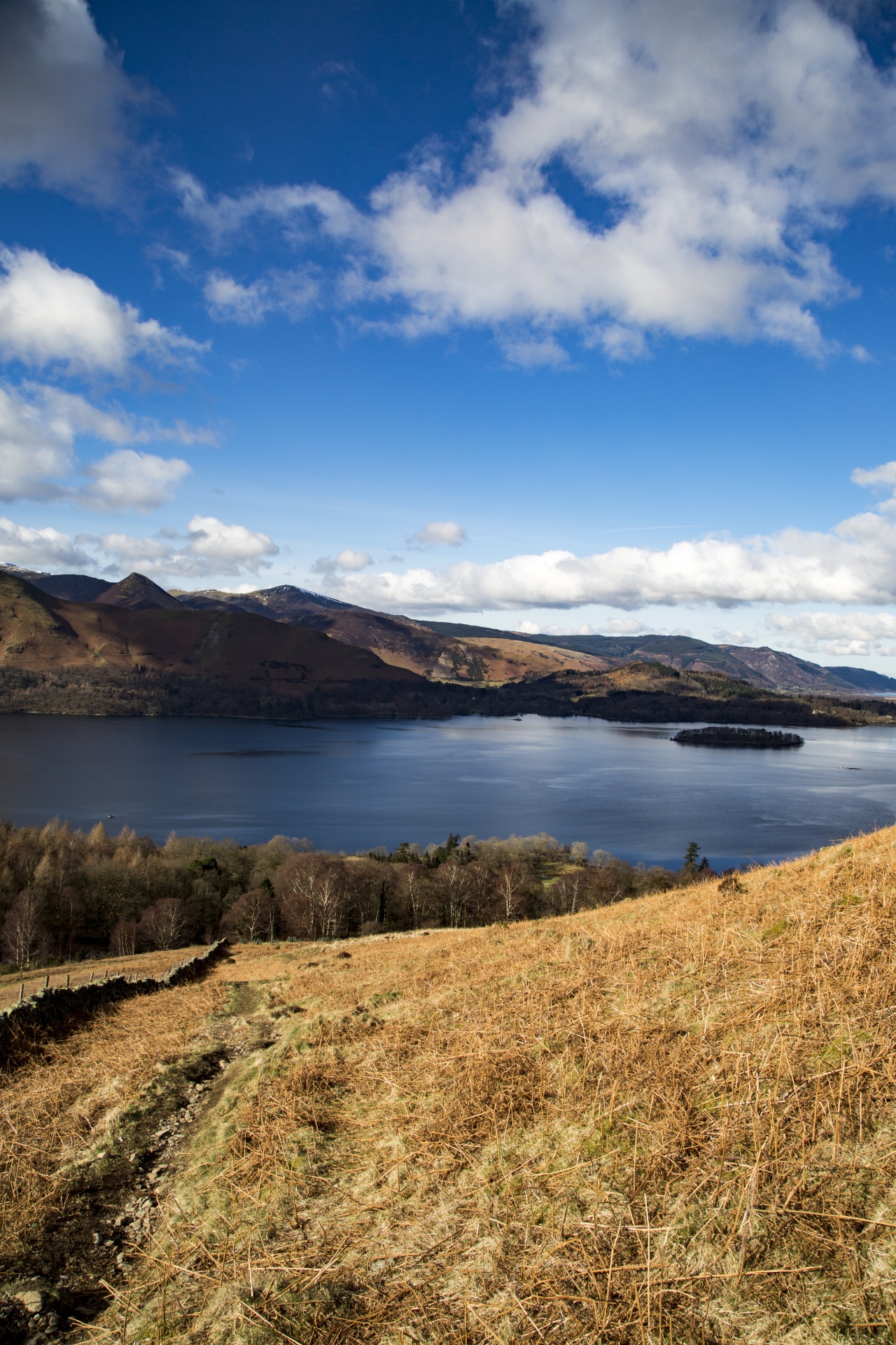 adventure britain brown knott free photo