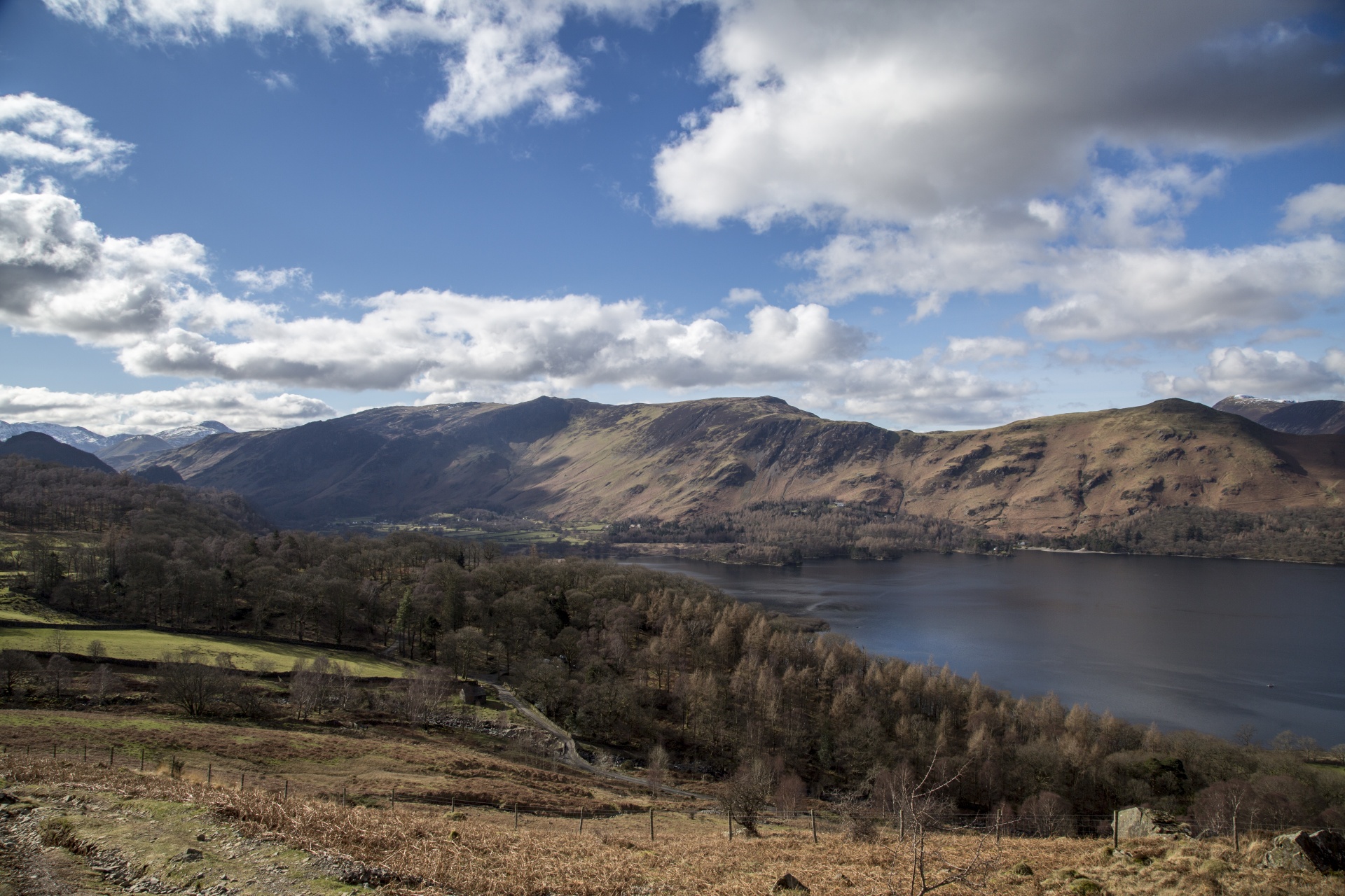 adventure britain brown knott free photo