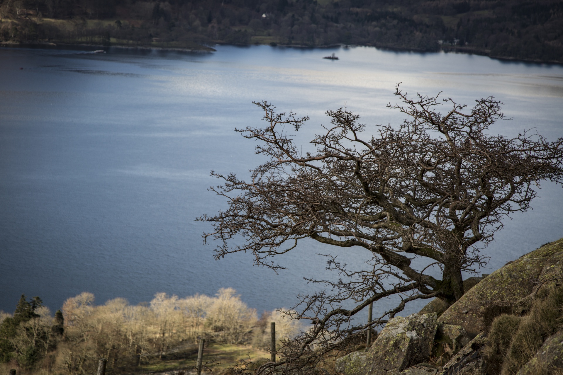 adventure britain brown knott free photo