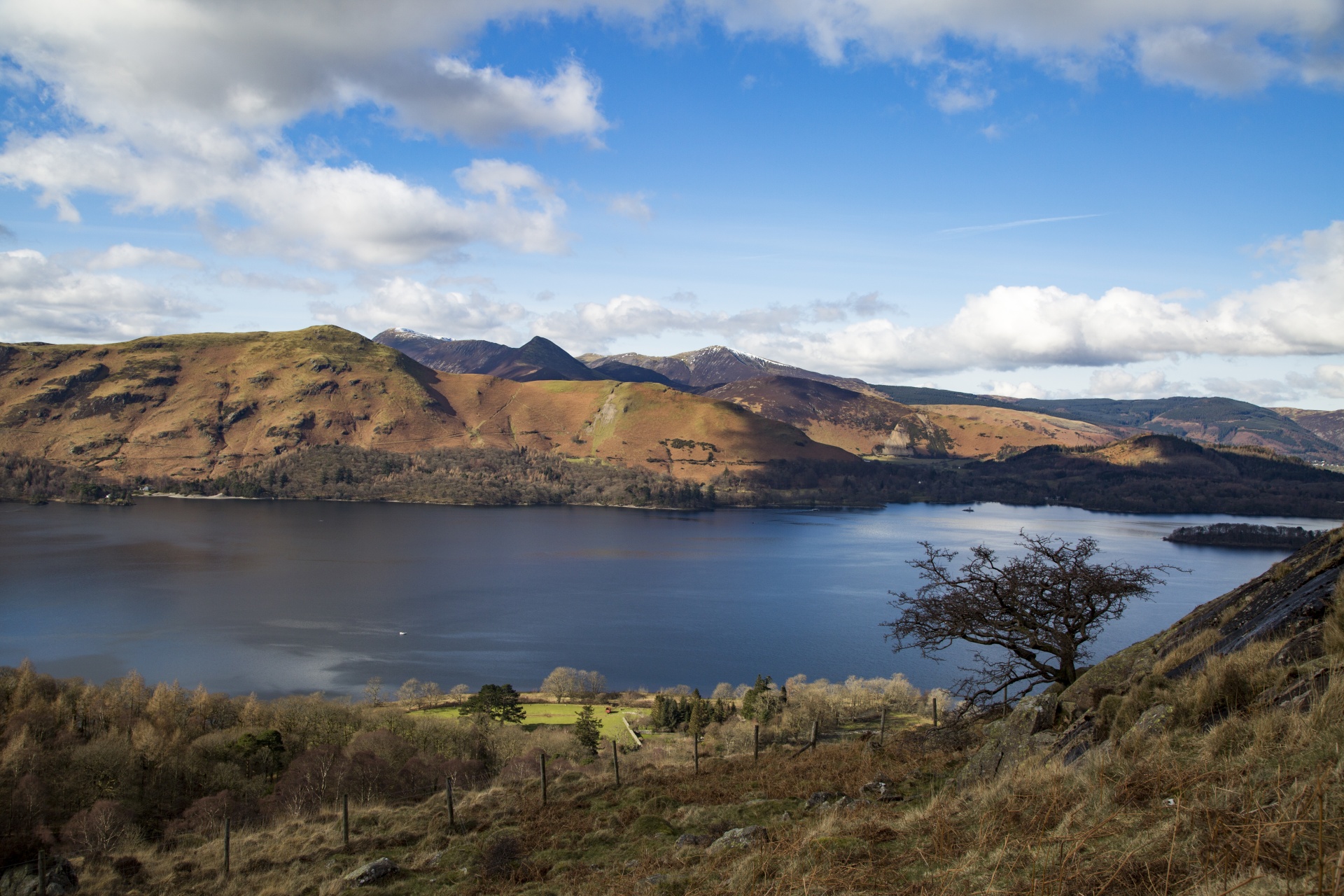 adventure britain brown knott free photo