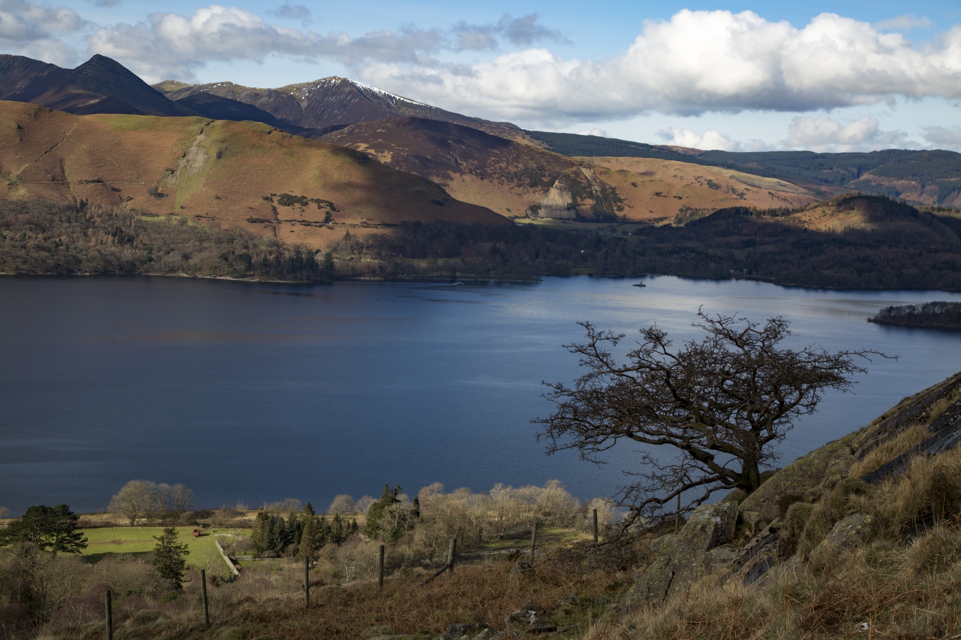 adventure britain brown knott free photo