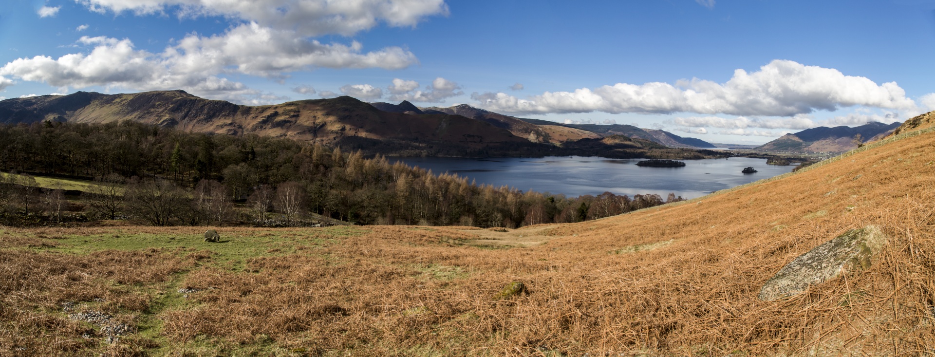 adventure britain brown knott free photo