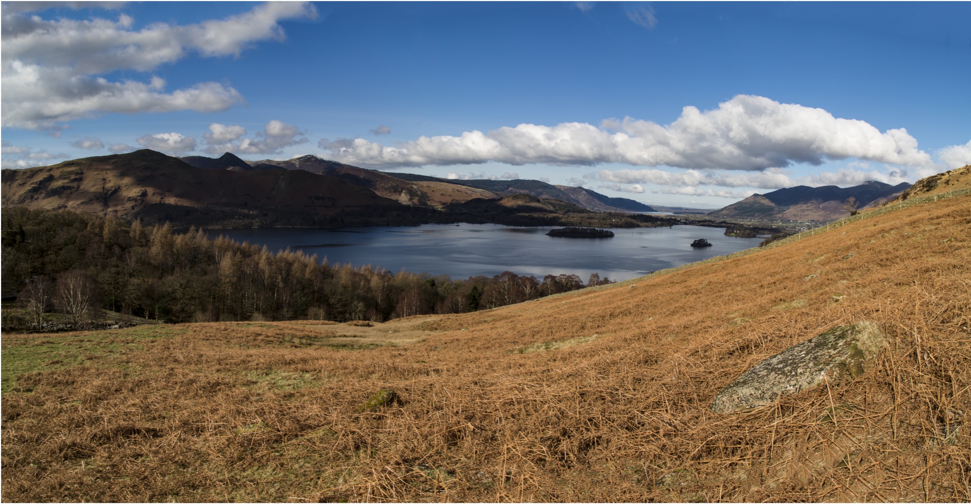 adventure britain brown knott free photo