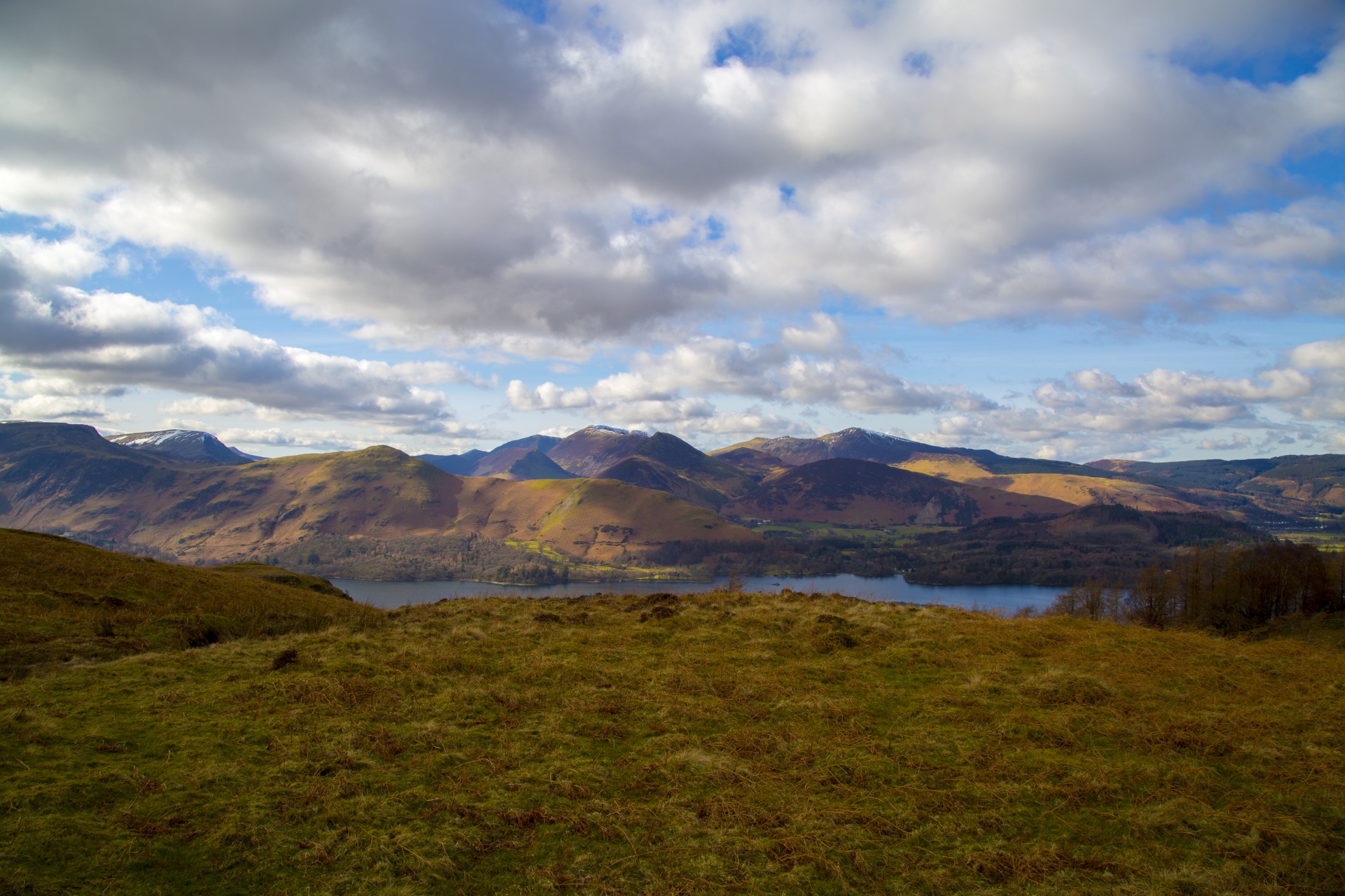 adventure britain brown knott free photo