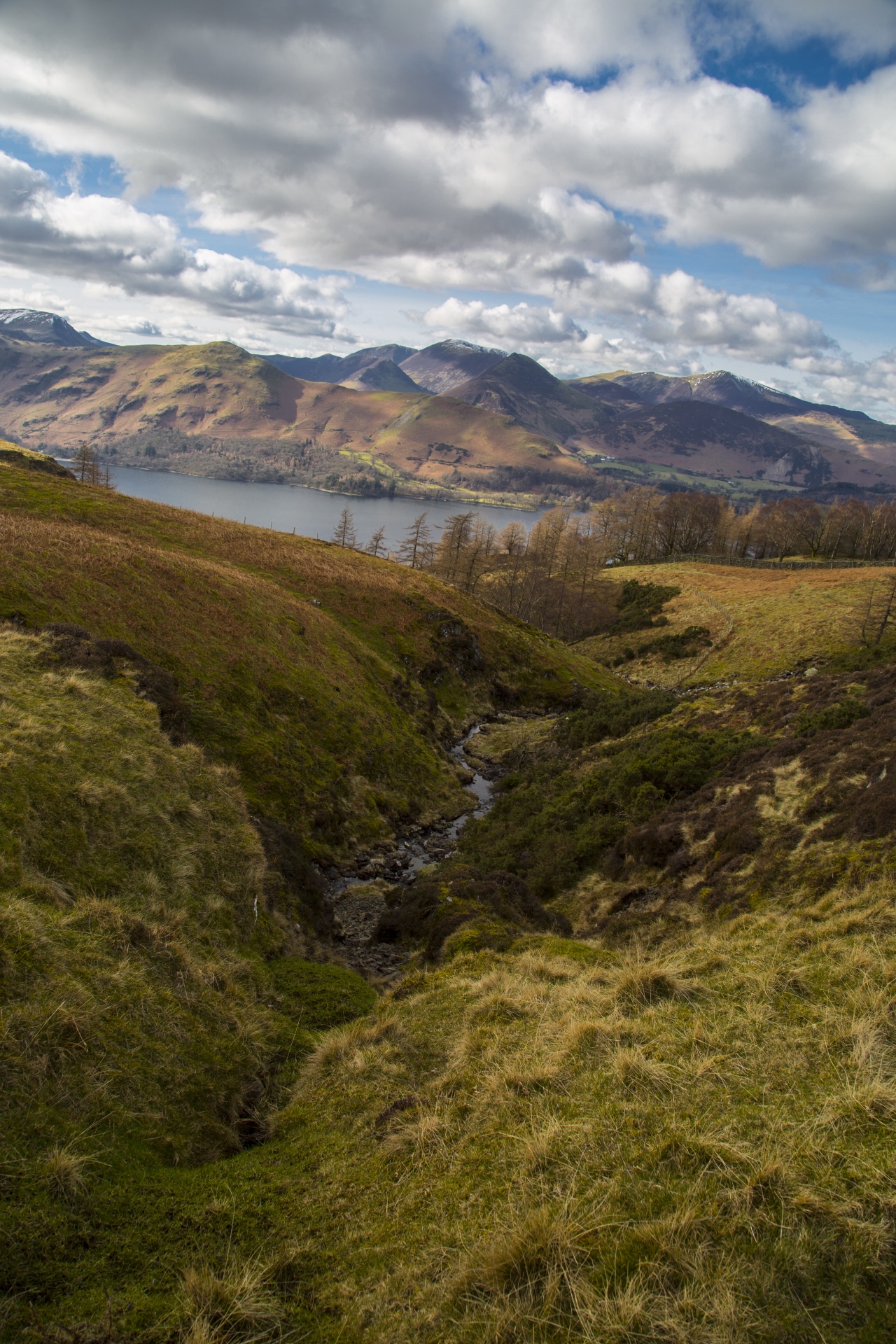 adventure britain brown knott free photo