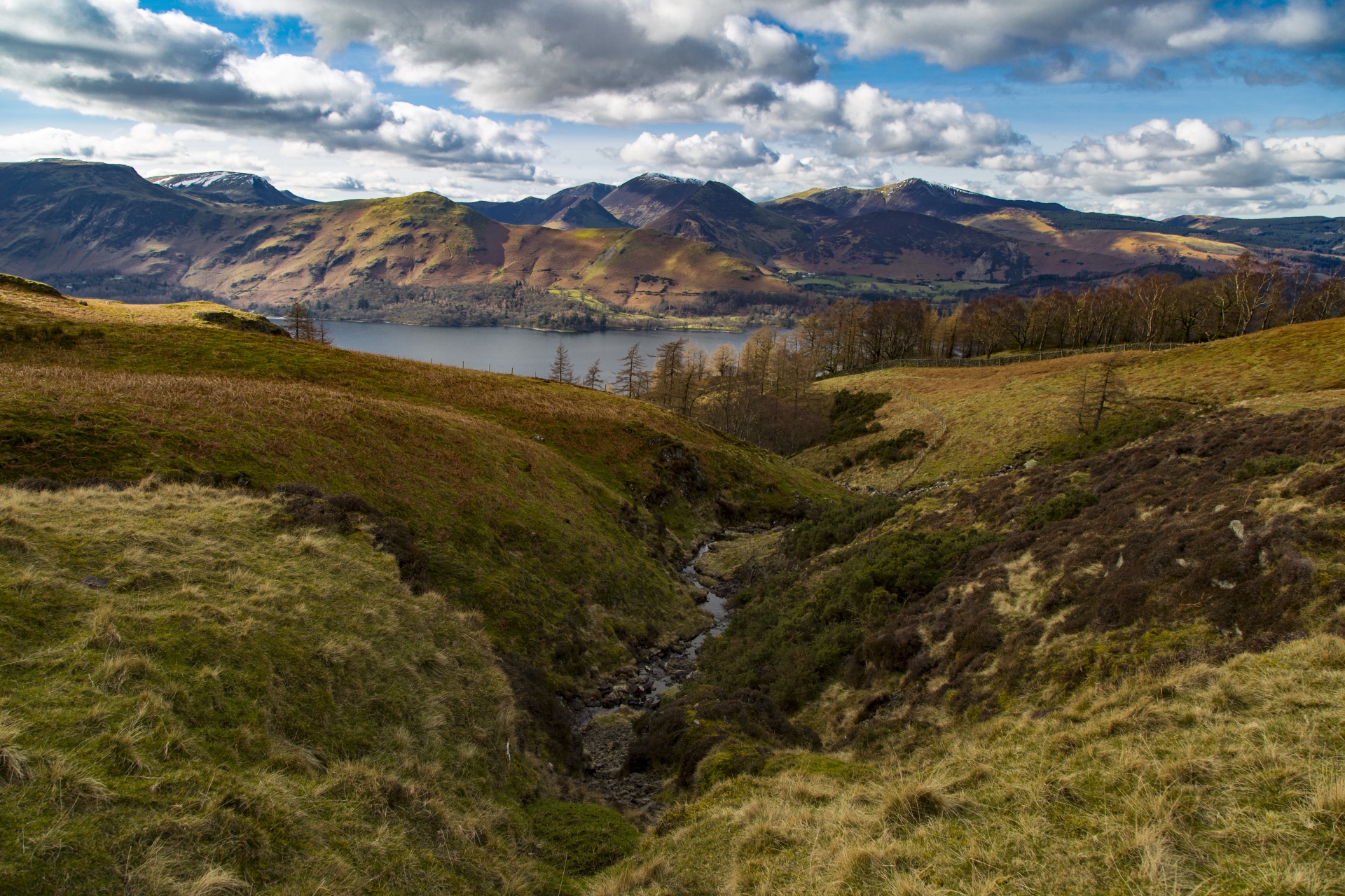 adventure britain brown knott free photo