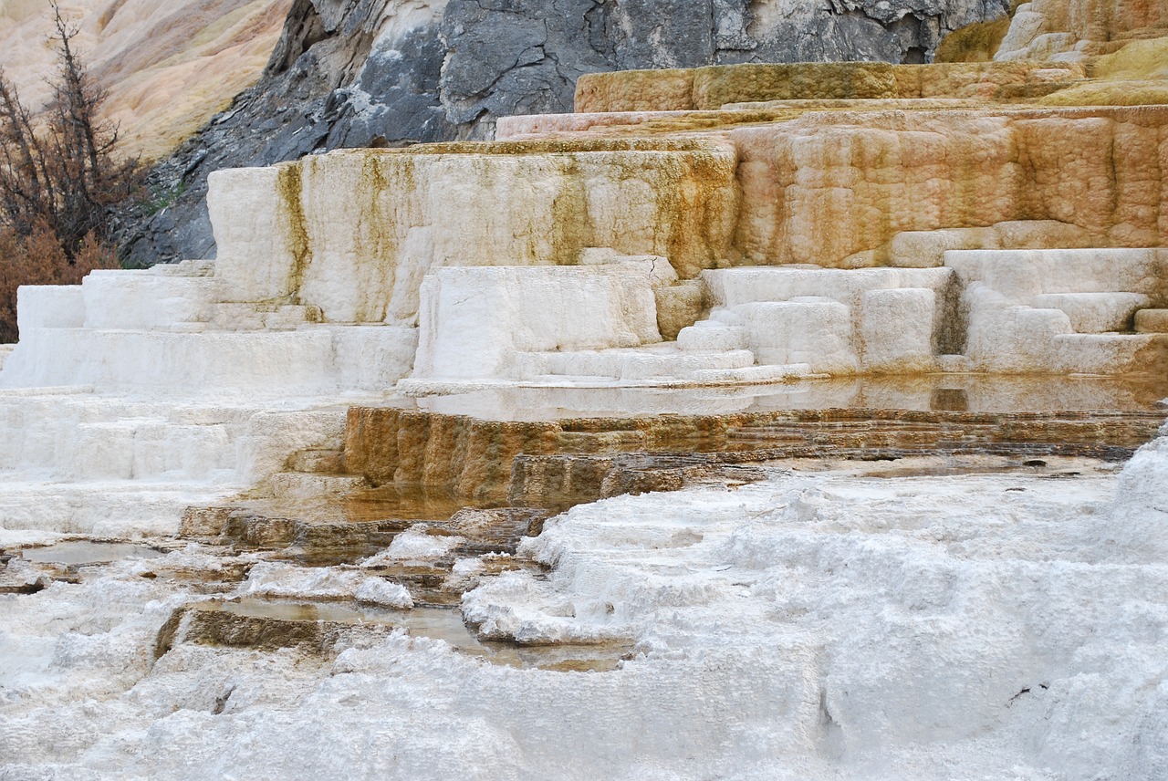 beautiful landscape yellowstone nature free photo