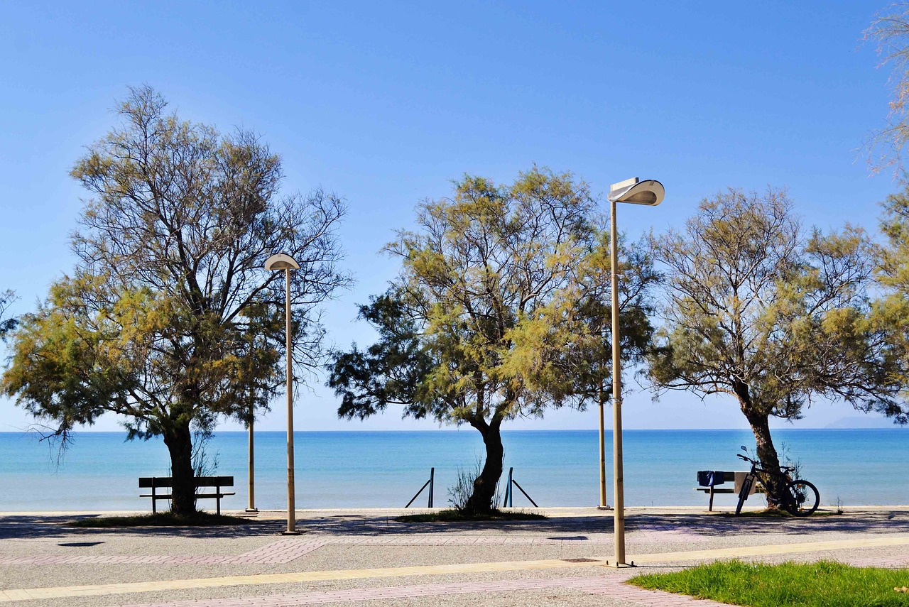 beautiful landscape seascape trees by the sea free photo