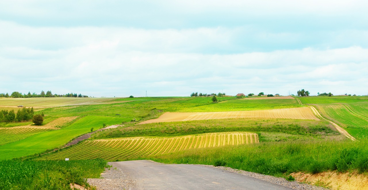 beautiful landscape field tree free photo