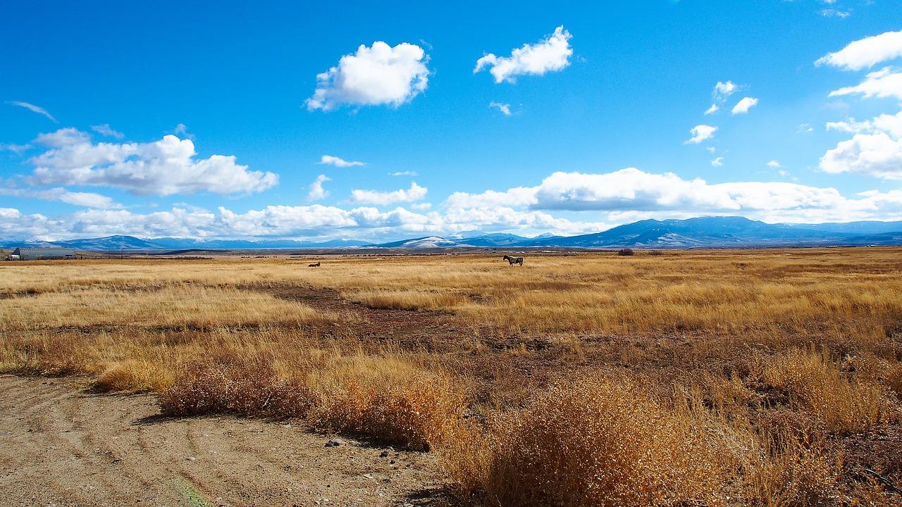beautiful landscape of colorado golden autumn blue sky free photo