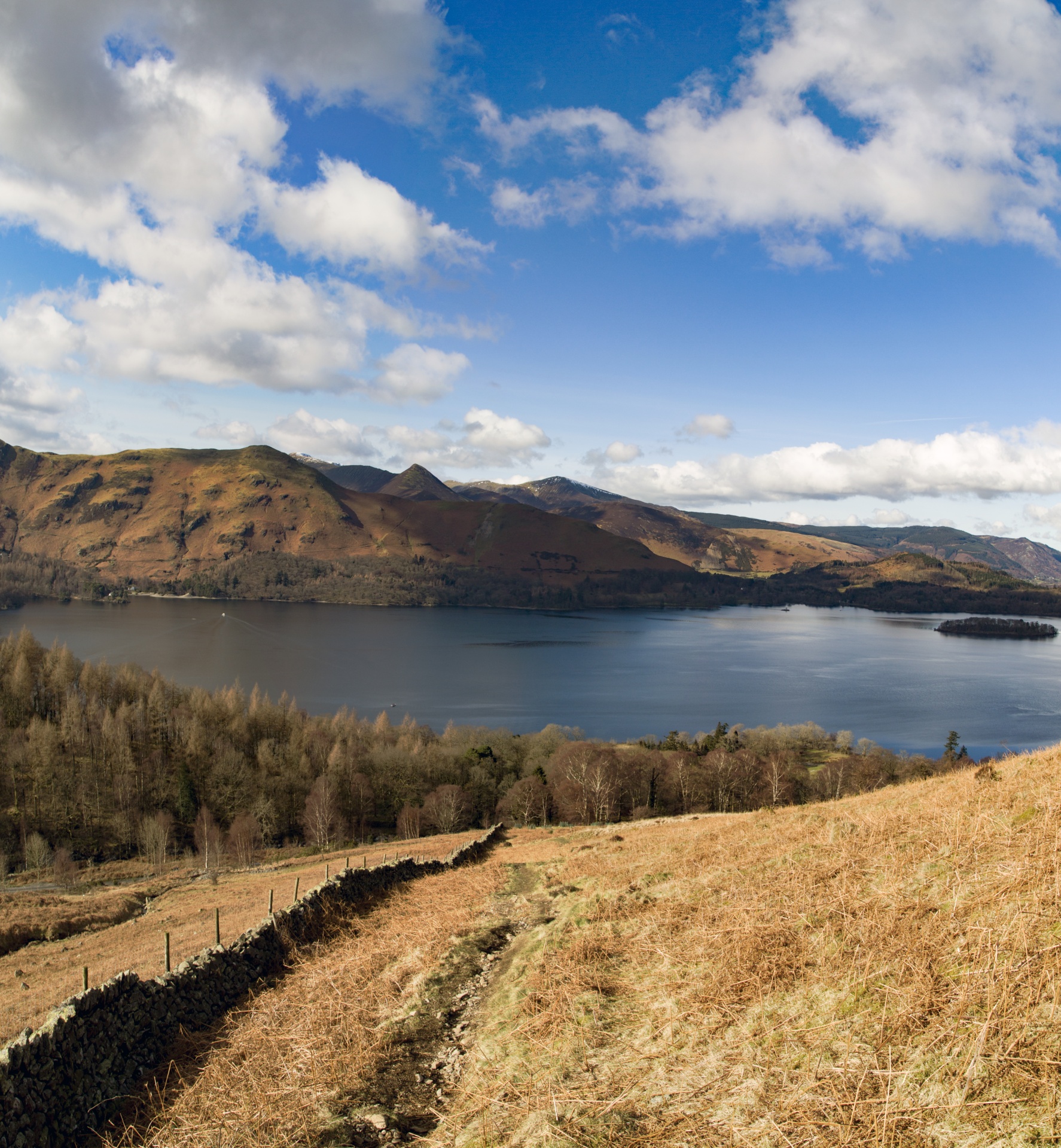 adventure britain brown knott free photo