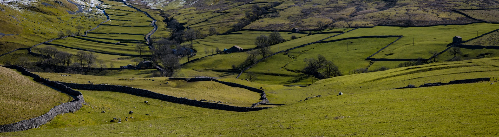 cove dales fields free photo