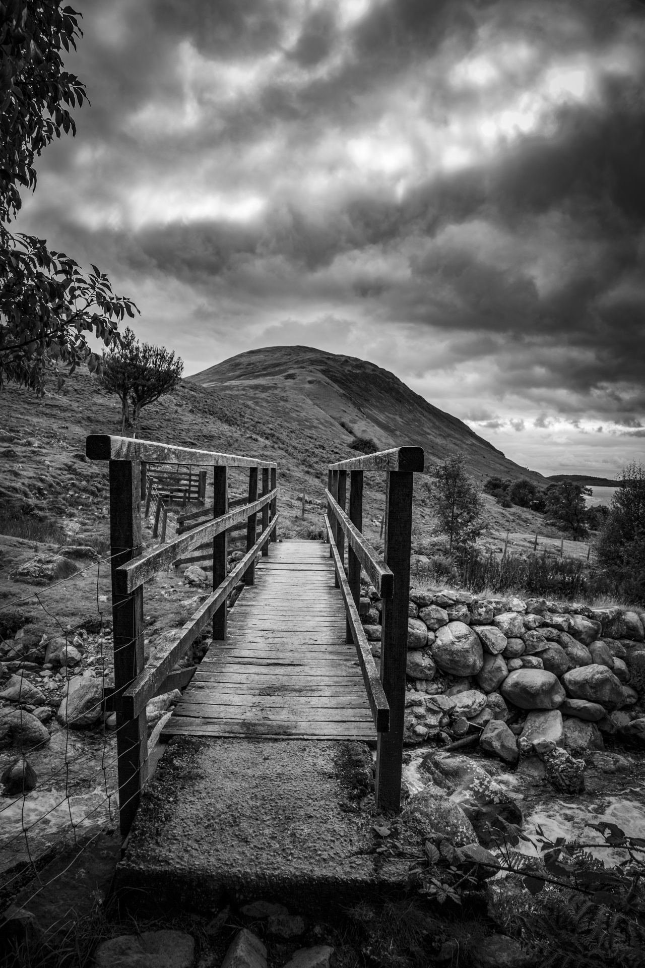 landscape nature bridge free photo